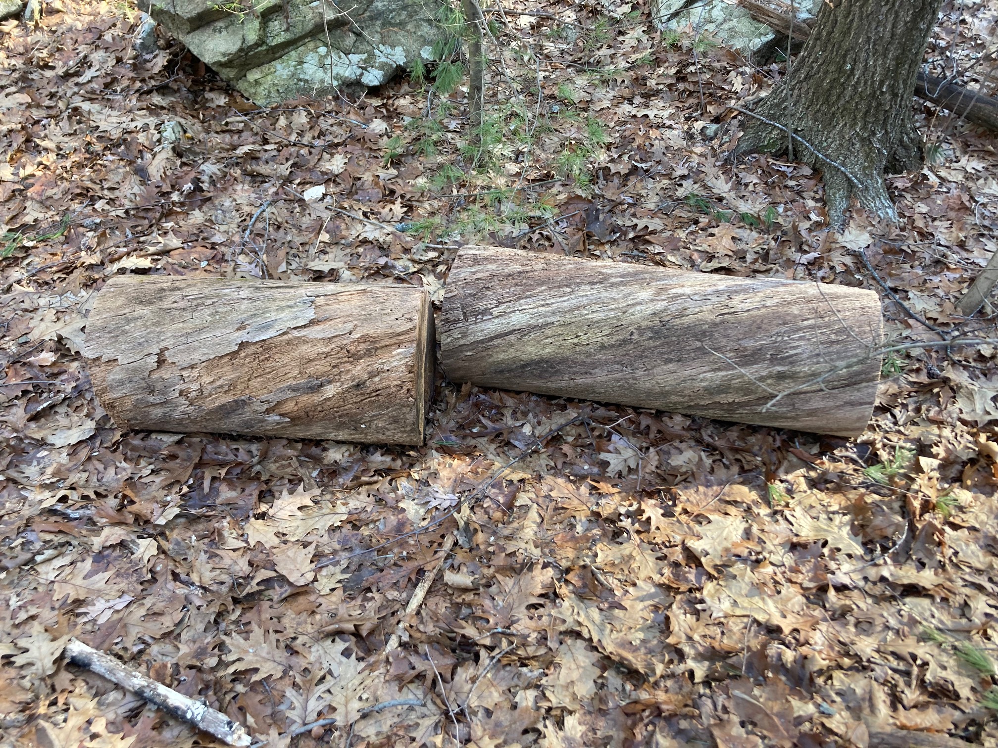 Logs with panache