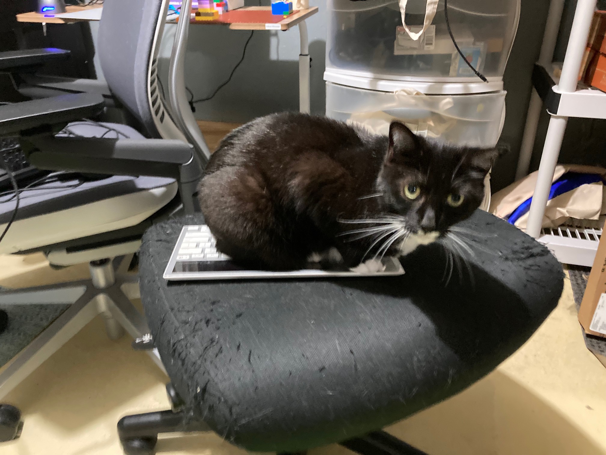 Keyboard occupied!