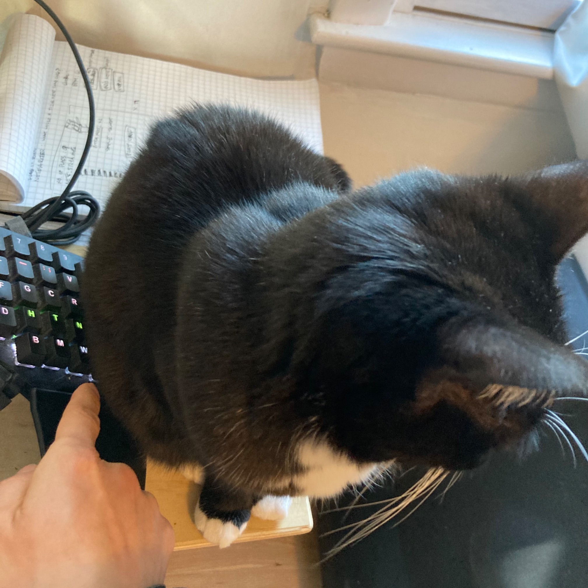 I actually need to use these keys sometimes.