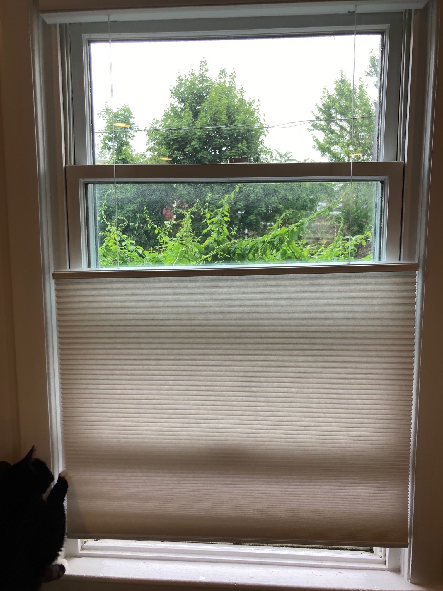 Latest top-down bottom-up blinds installation. Now we can hide the chain link fence but still see th
