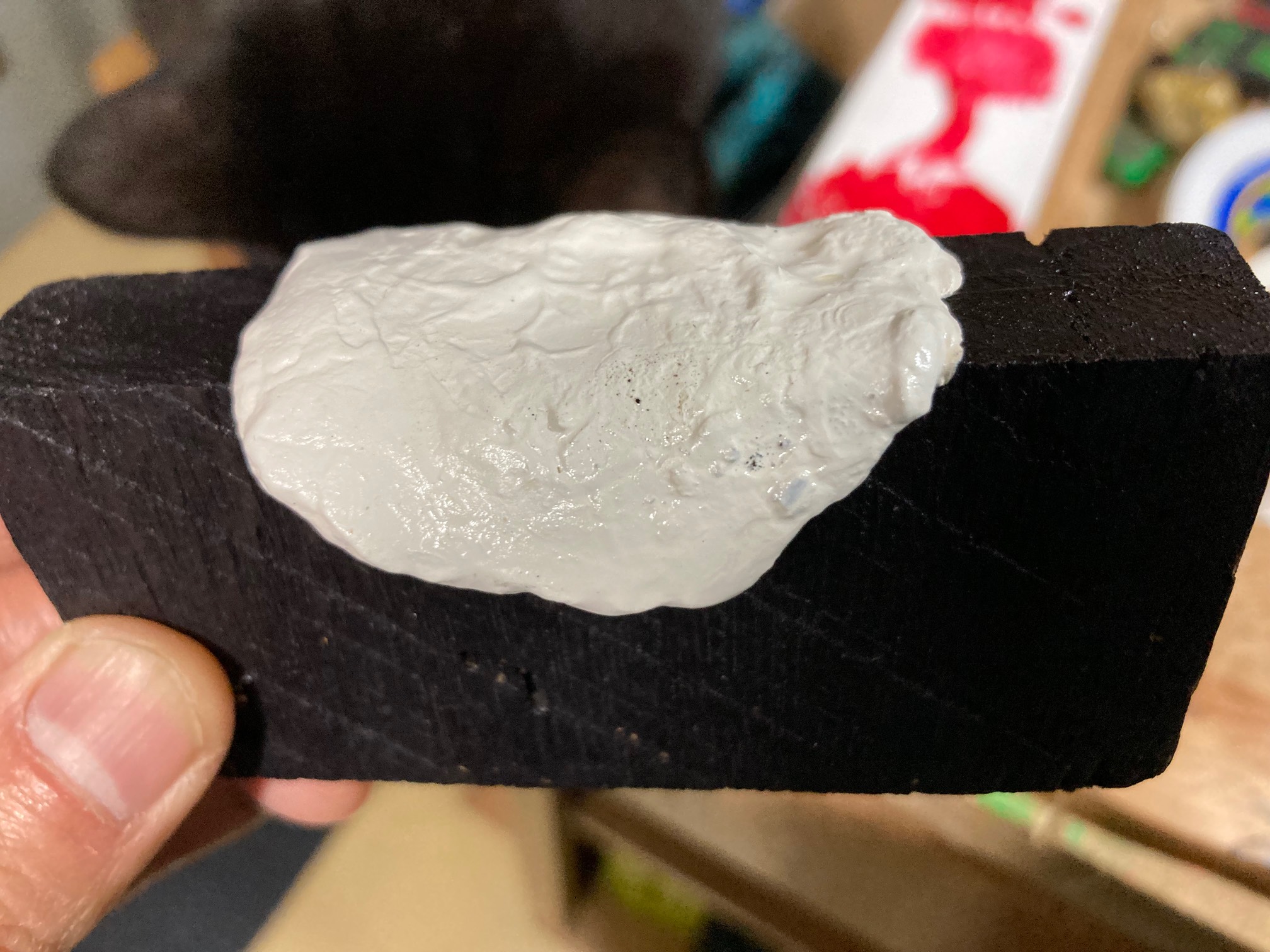 I thought this would turn out cooler. Well, not all half-dried paint blobs can have lifelike qualiti