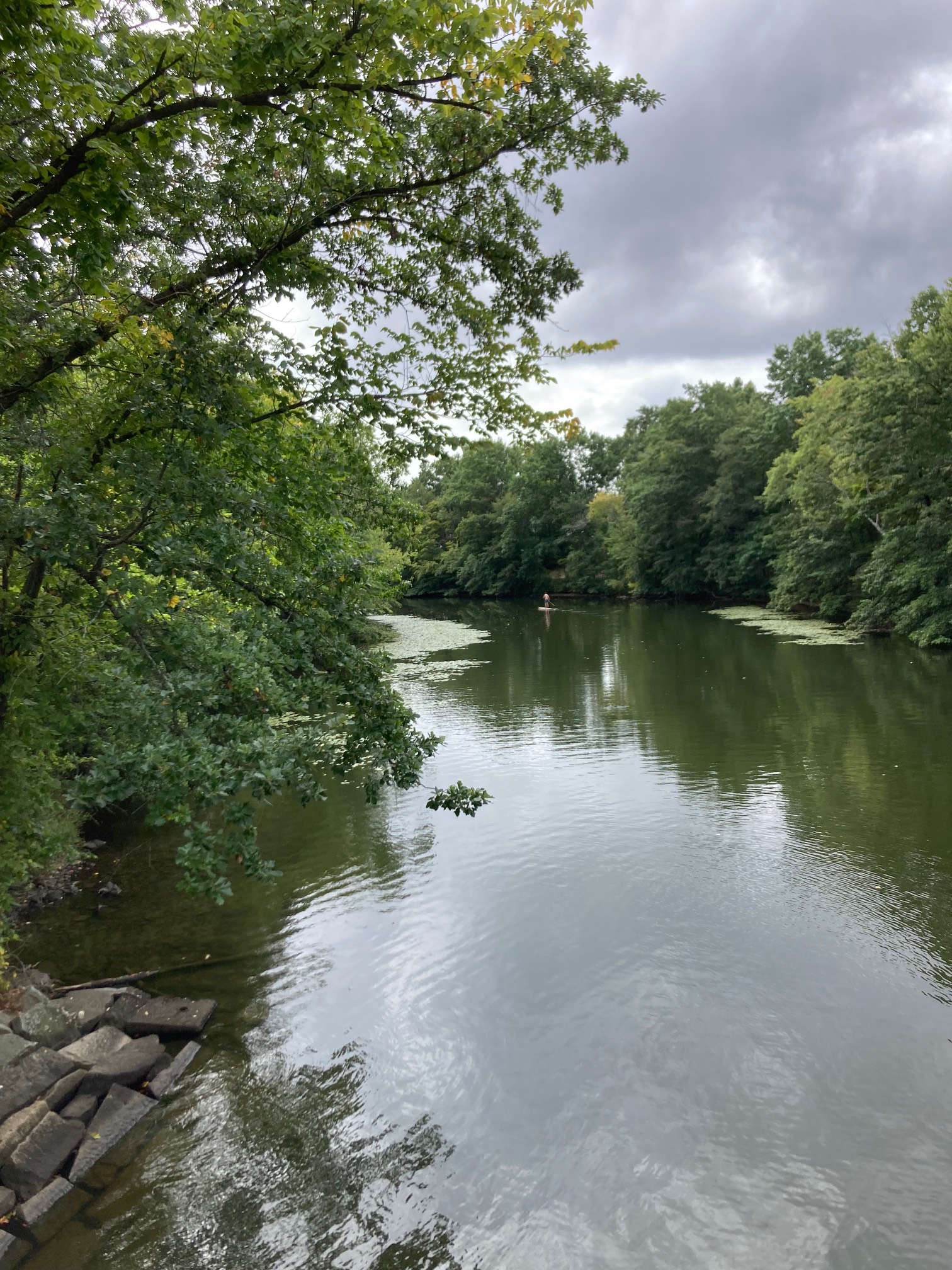 Man paddle boarding on river