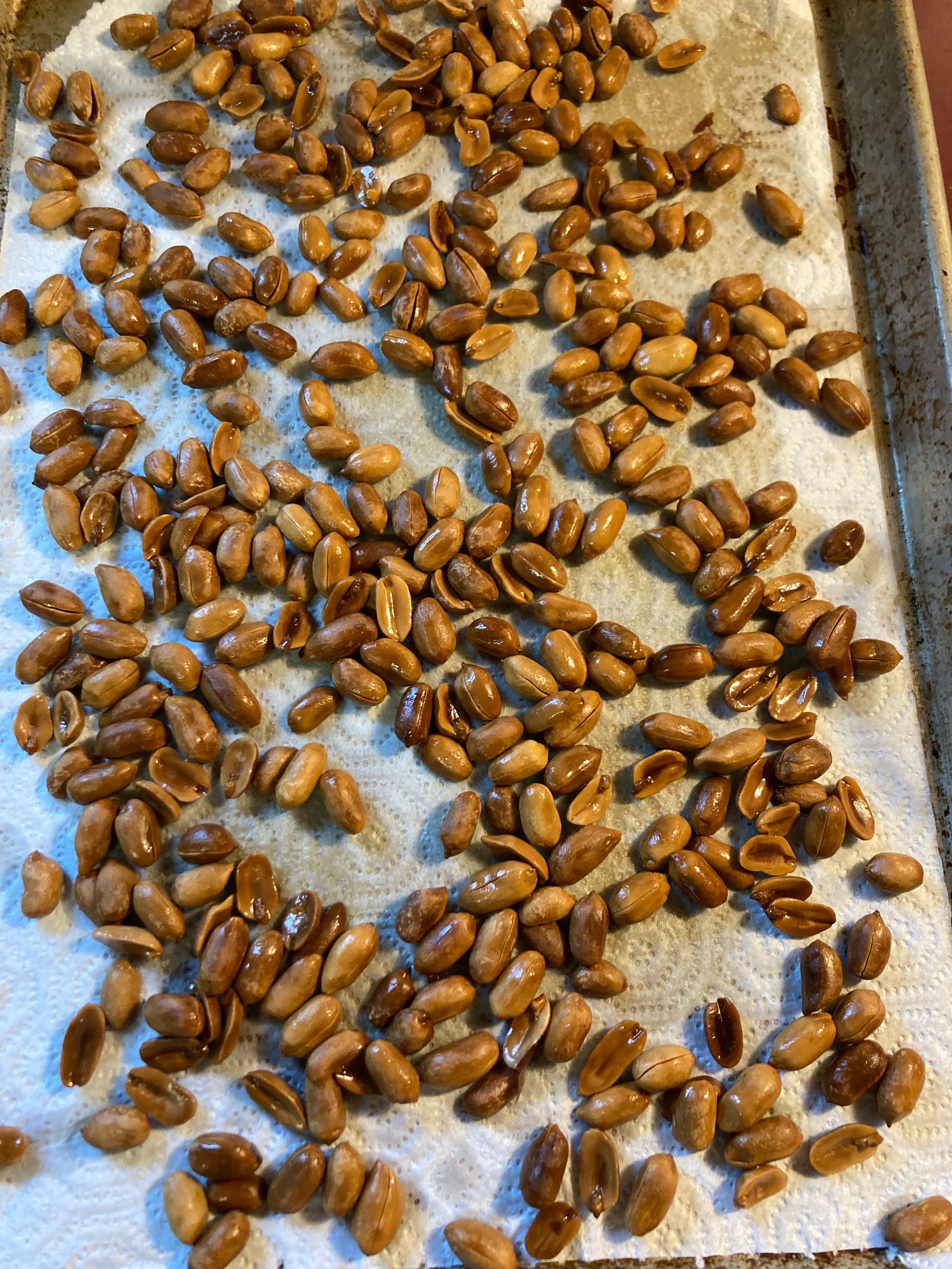 Dag, I burned them. But not inedibly so! These are Dad Nuts.