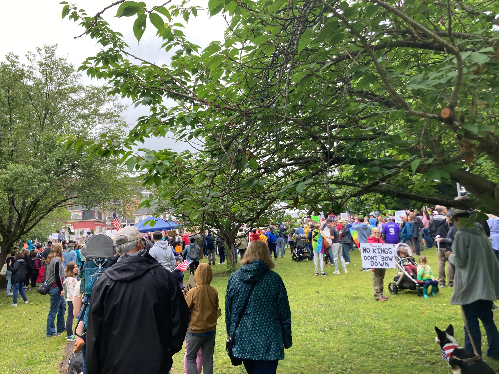 Crowd of protestors of various ages