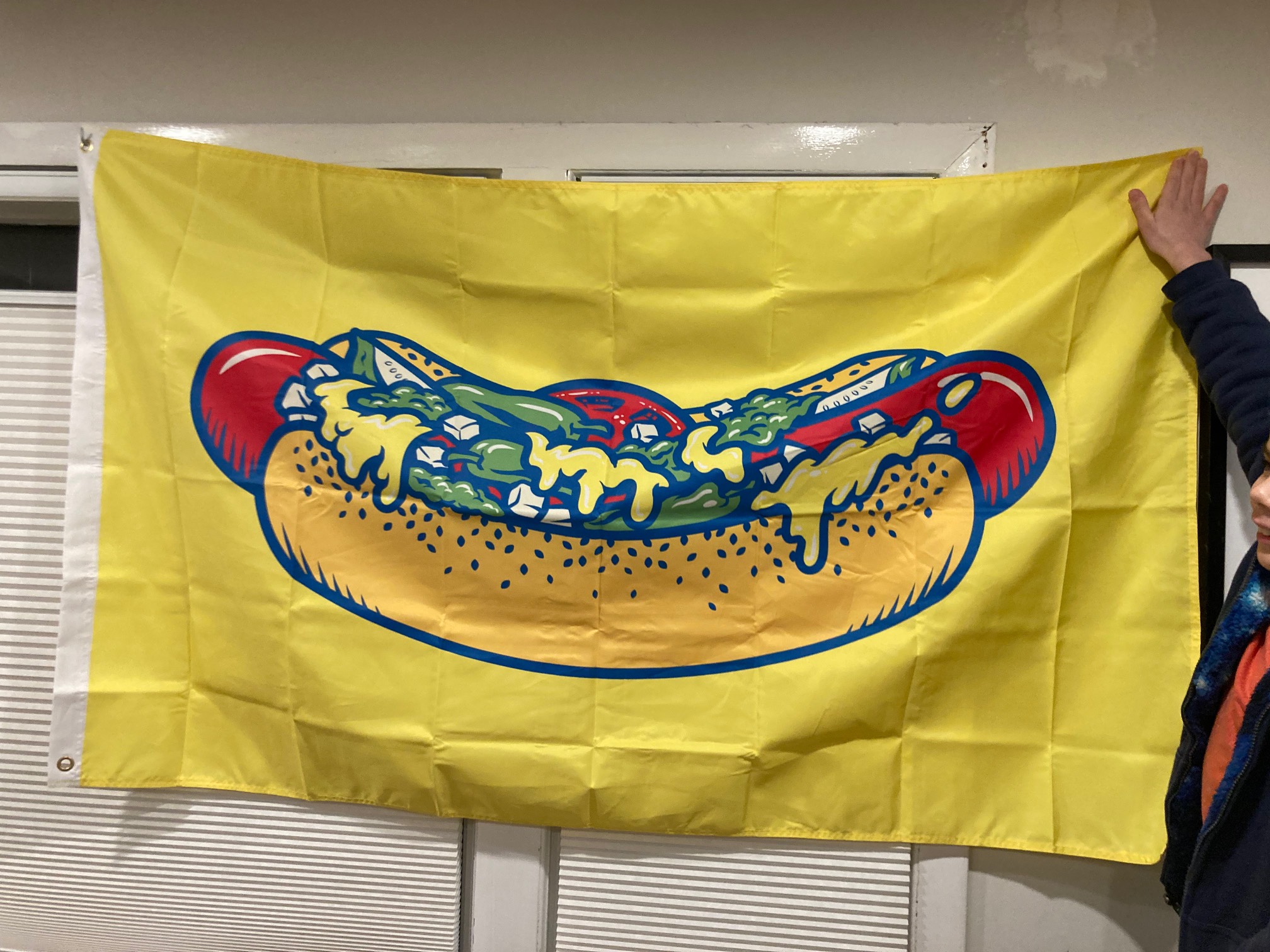 Chicago hot dog flag