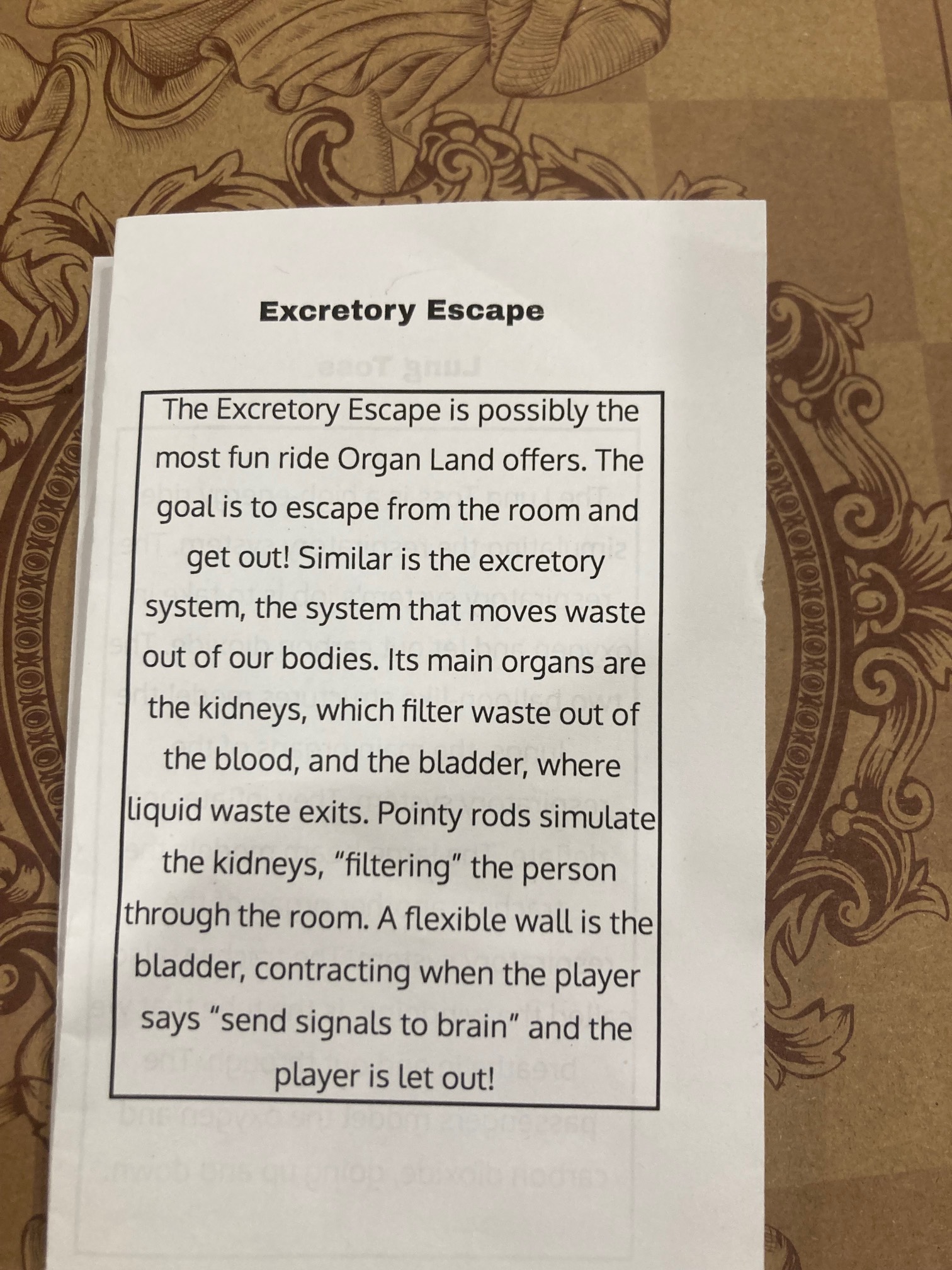 Back of brochure describing ride called the Excretory Exit