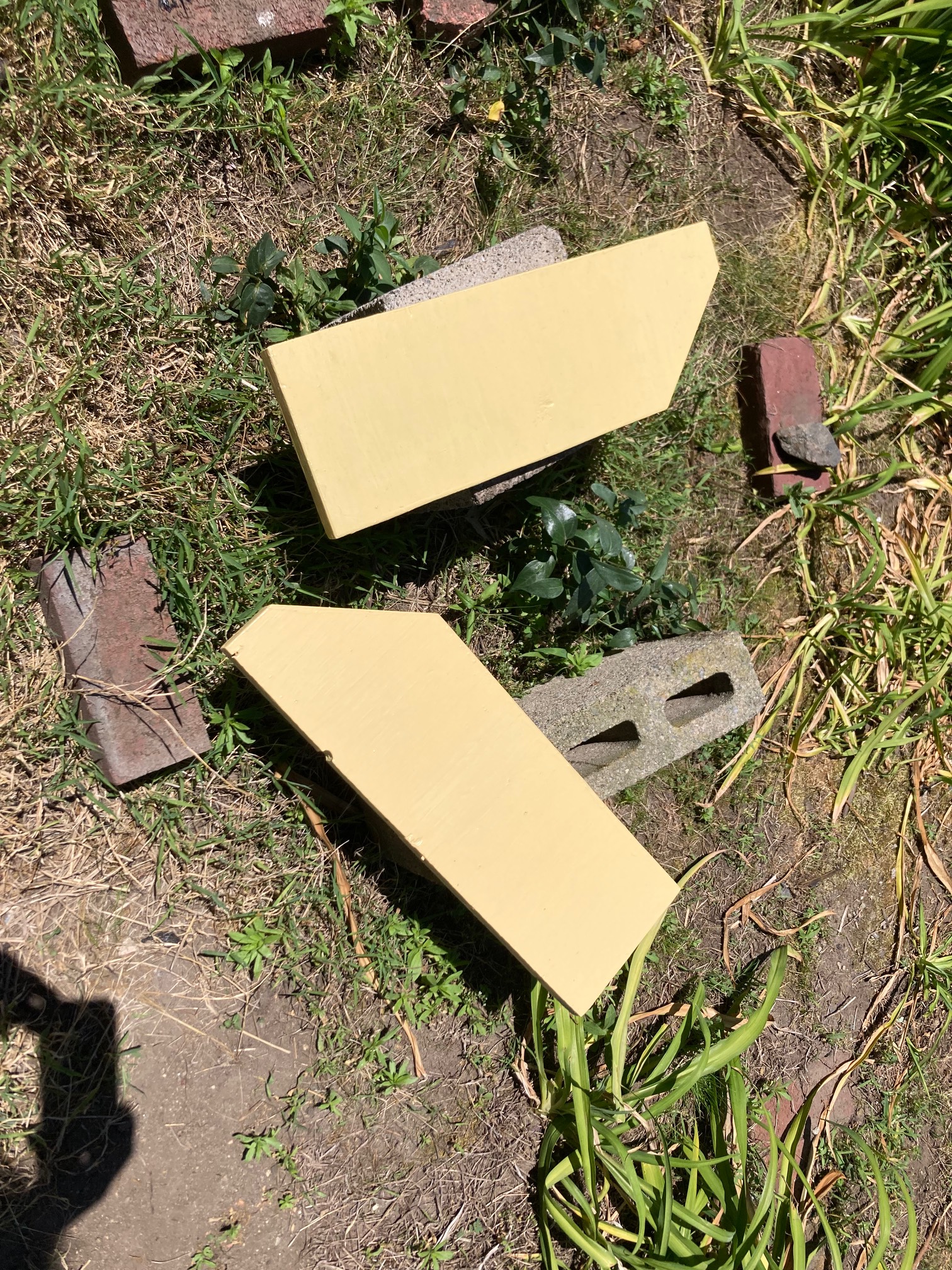 Yellow boards drying outside