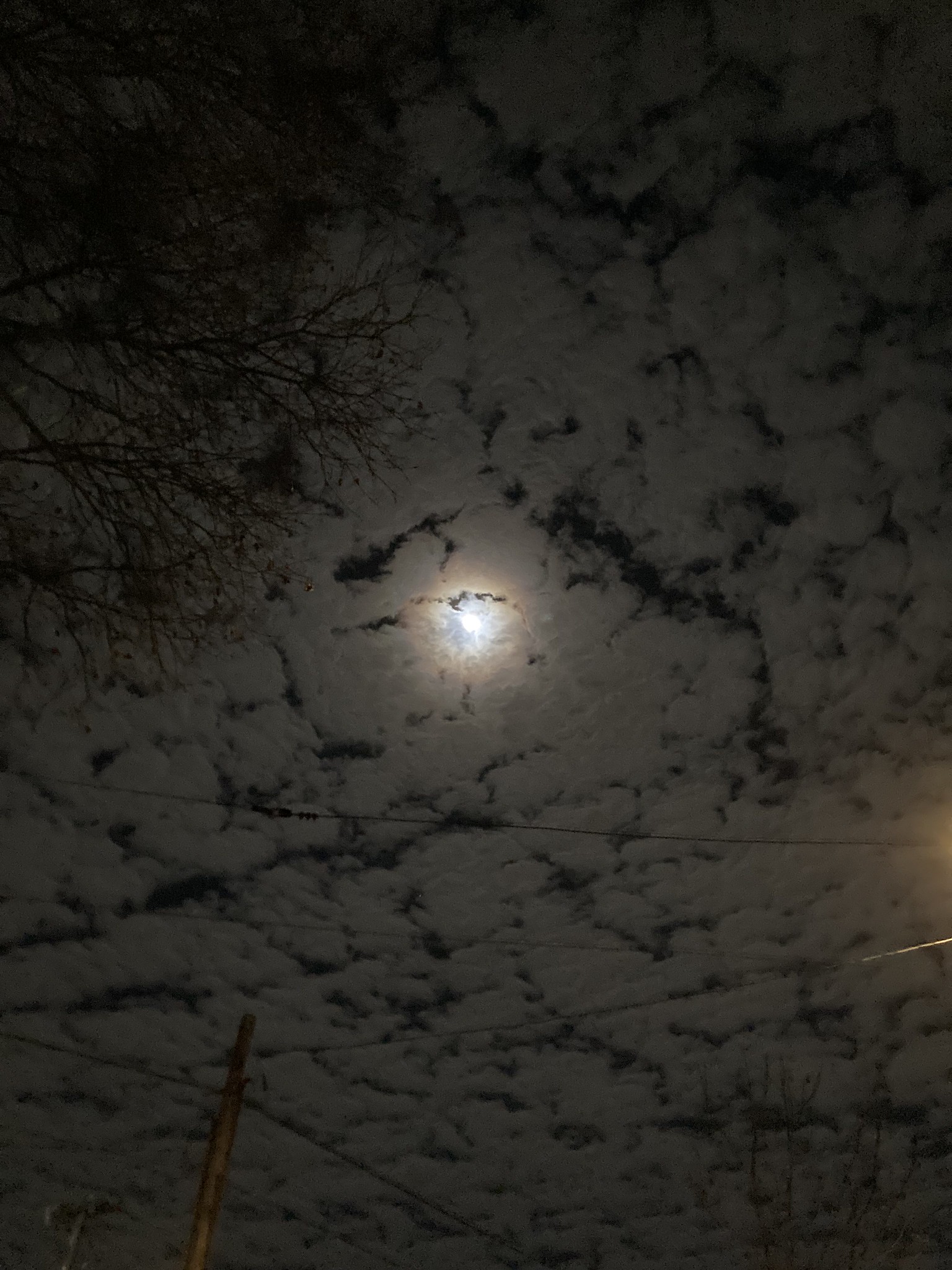 Moon with halo among clouds