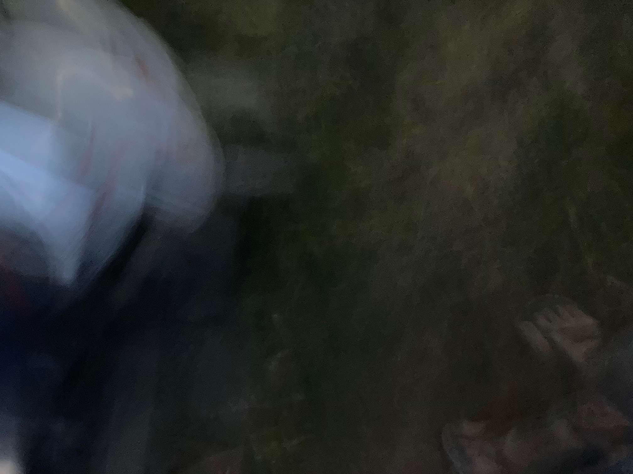 Dark blur