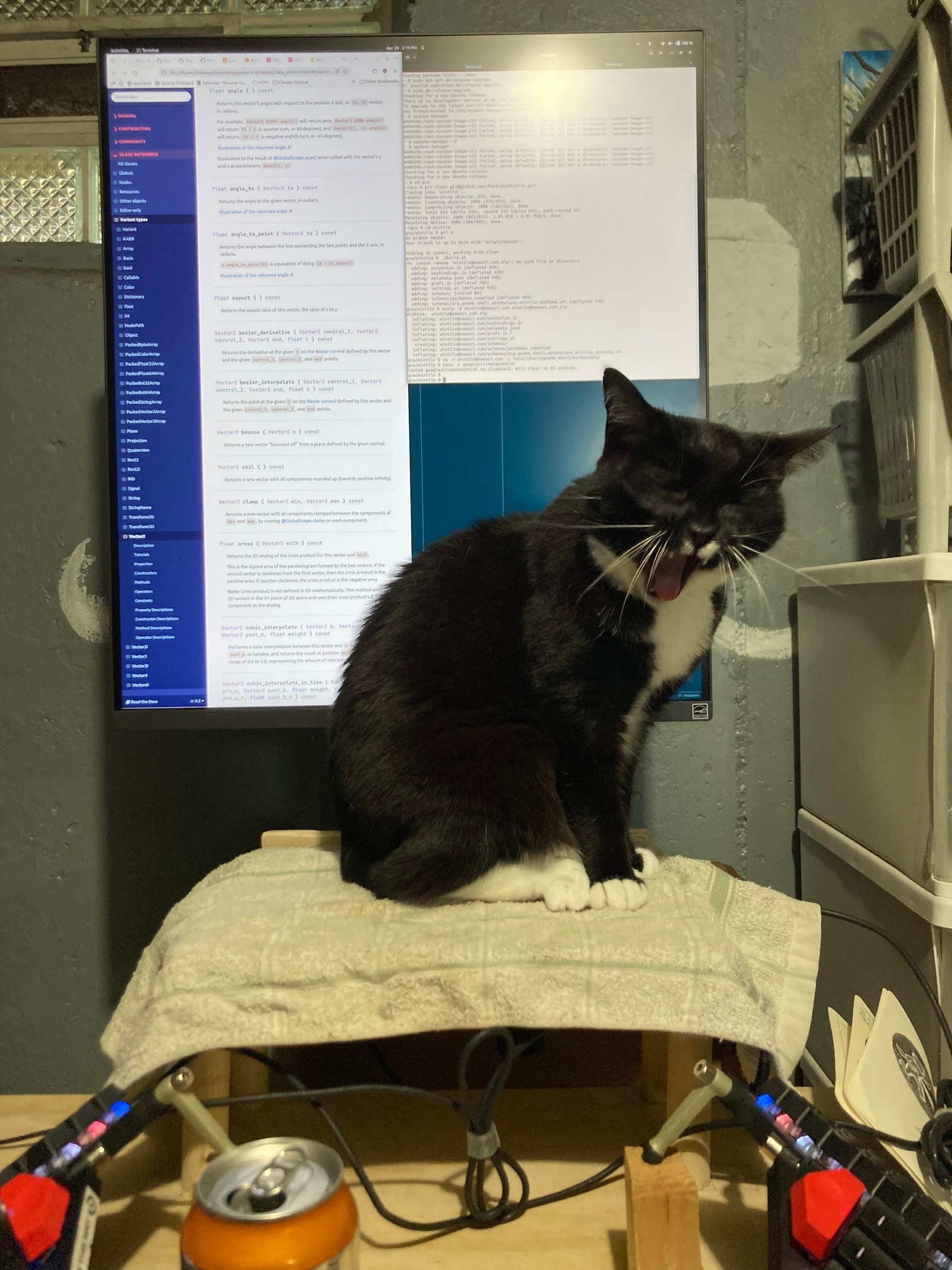 Cat in front of monitor