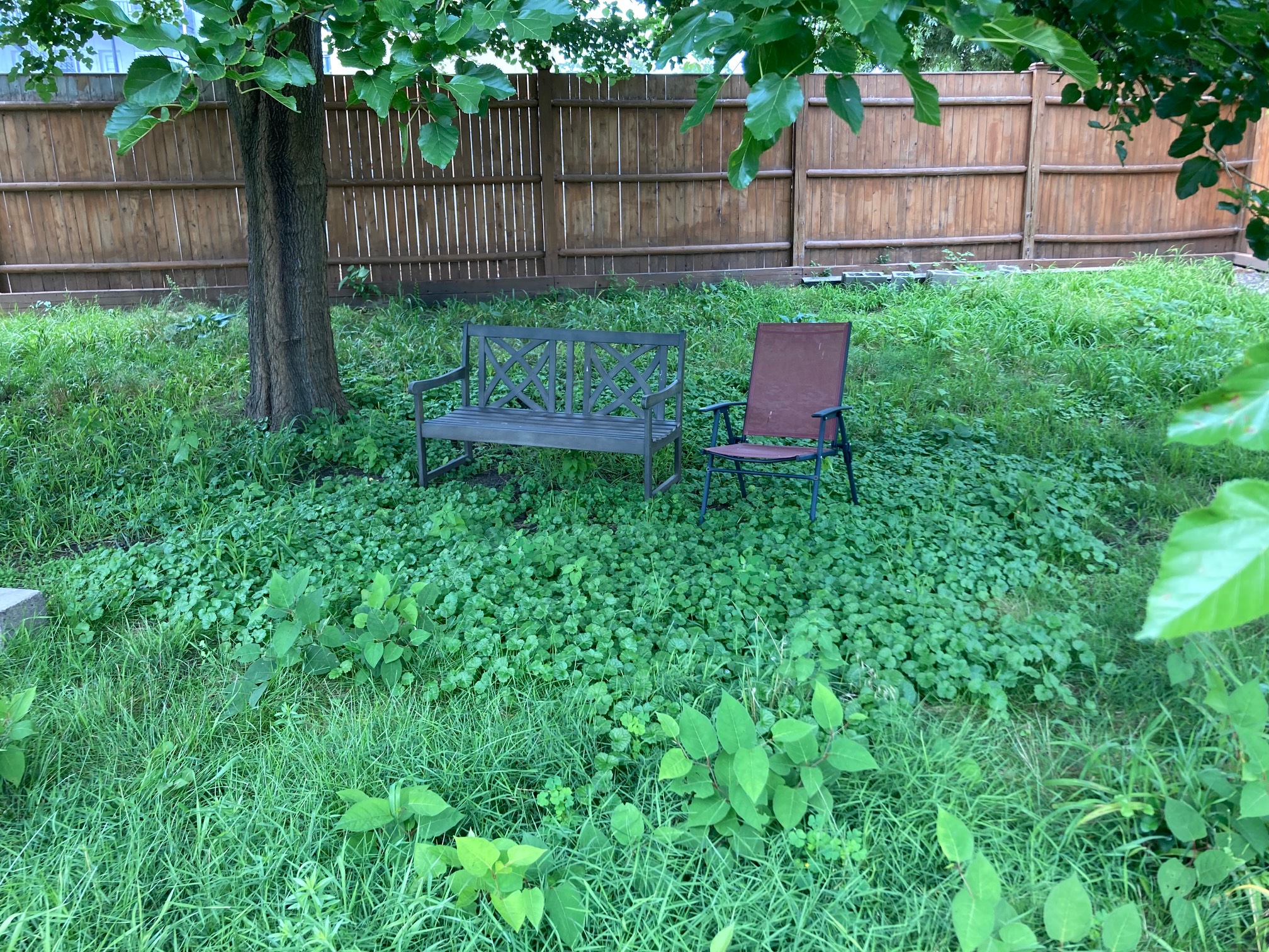Growth in the bench zone is good. 