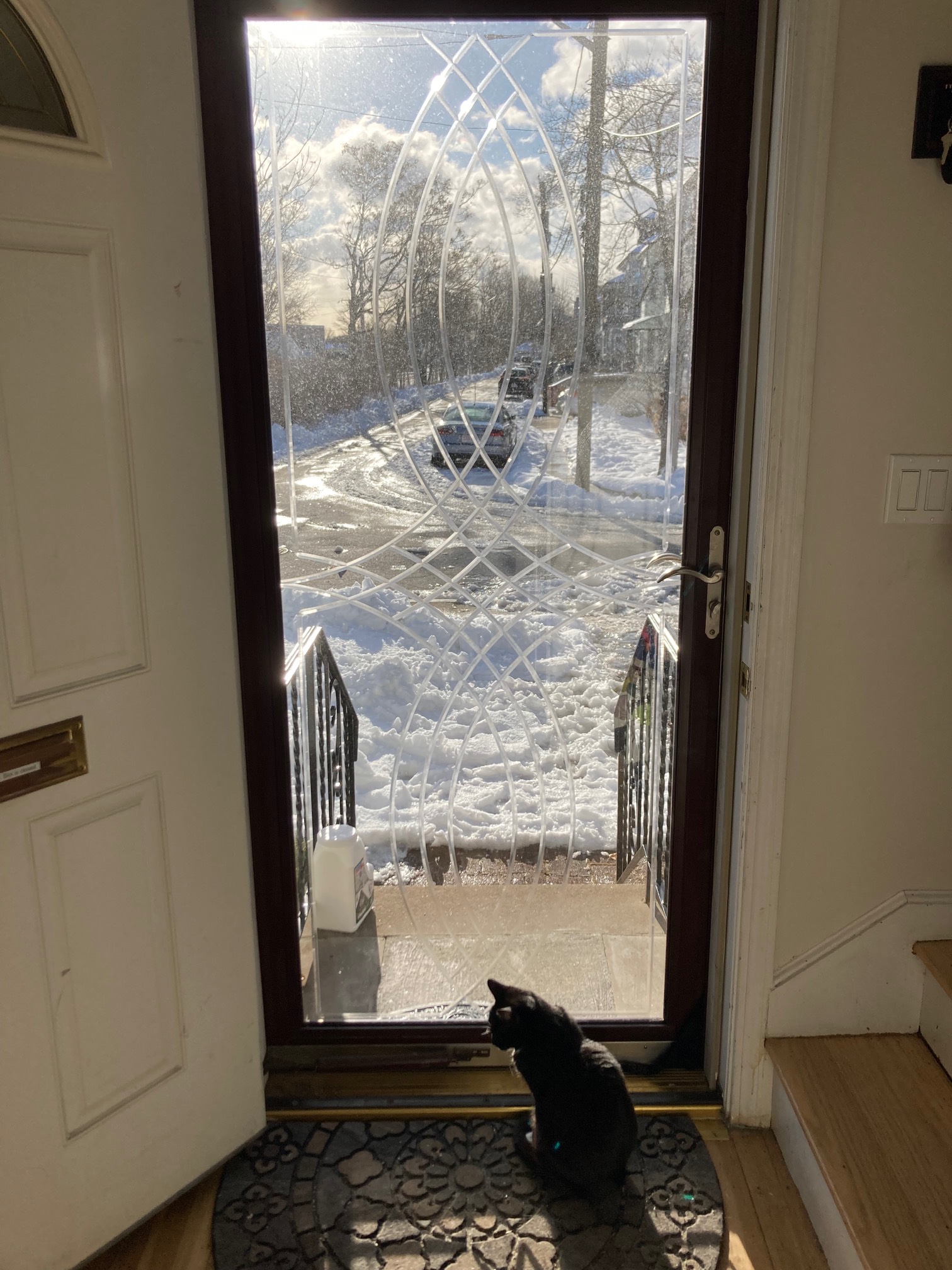 Glass door with cat in front looking out on driveway filled with snow with sun shining