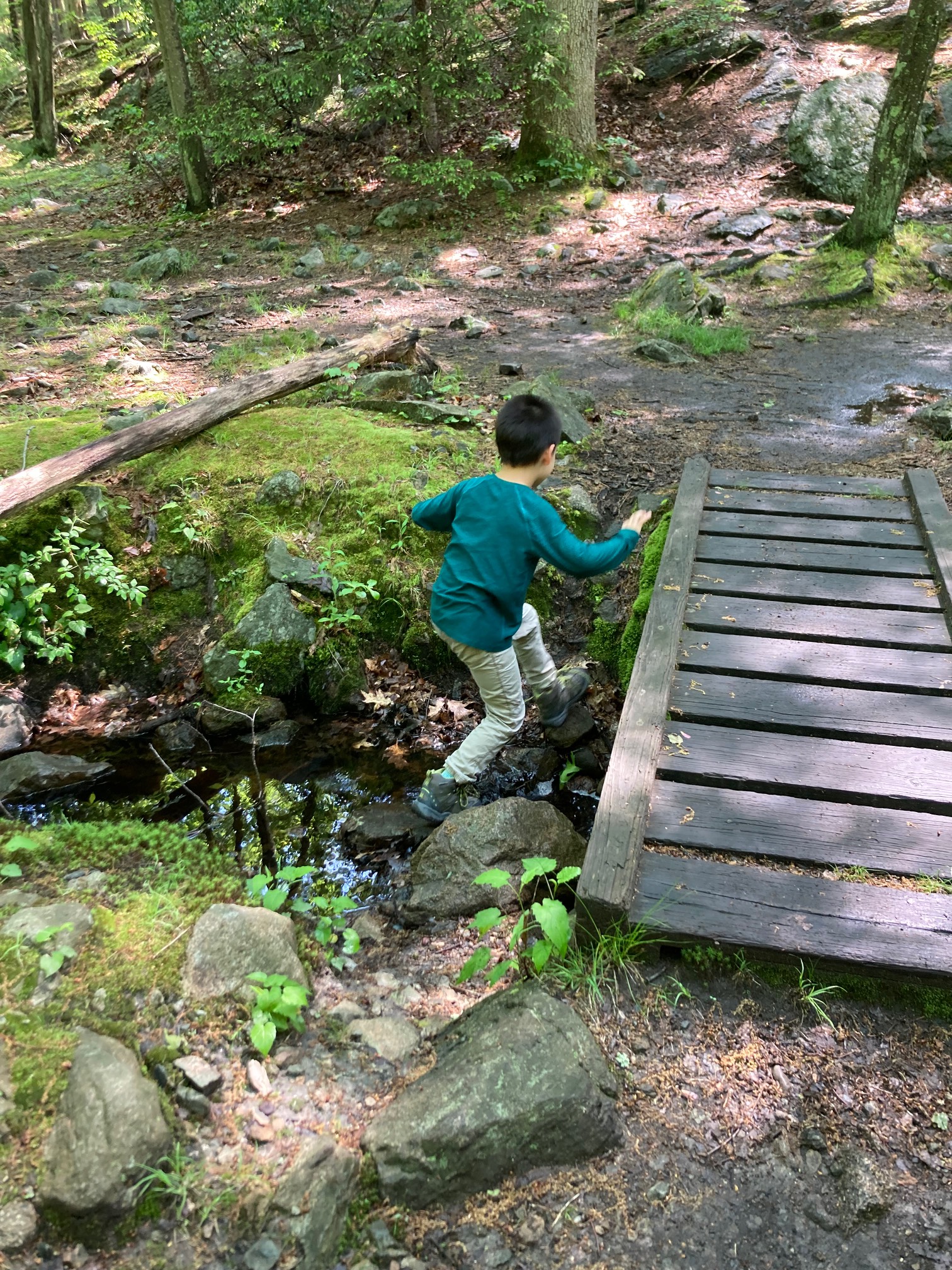 Kid crossing ravine next to bridge