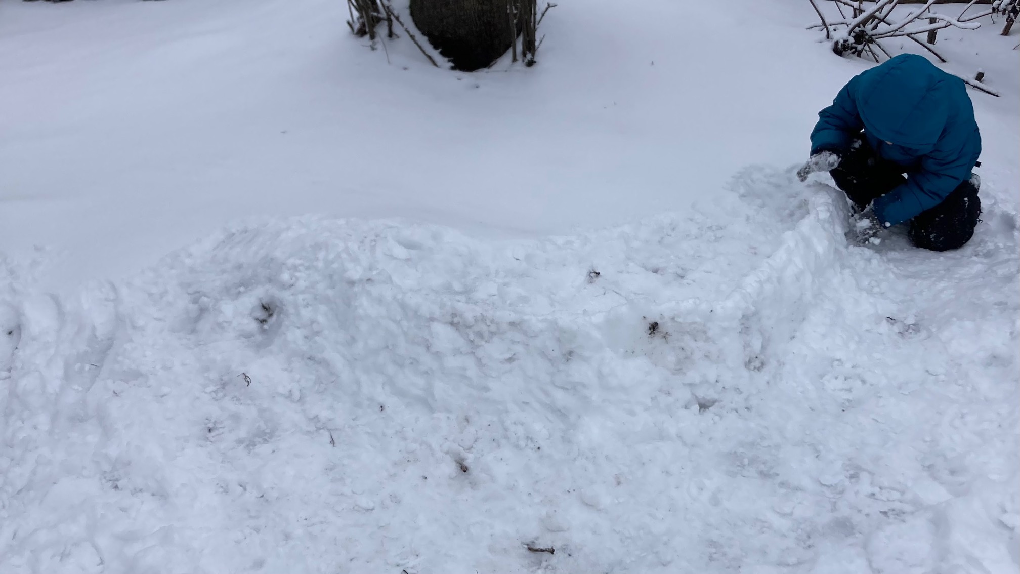 Snow wall which will devolve into a snow mound