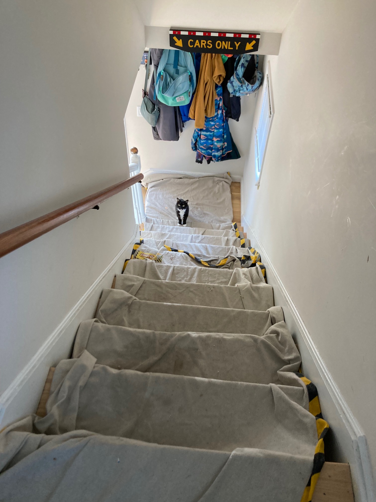 Cat at bottom of dropcloth-covered stairs