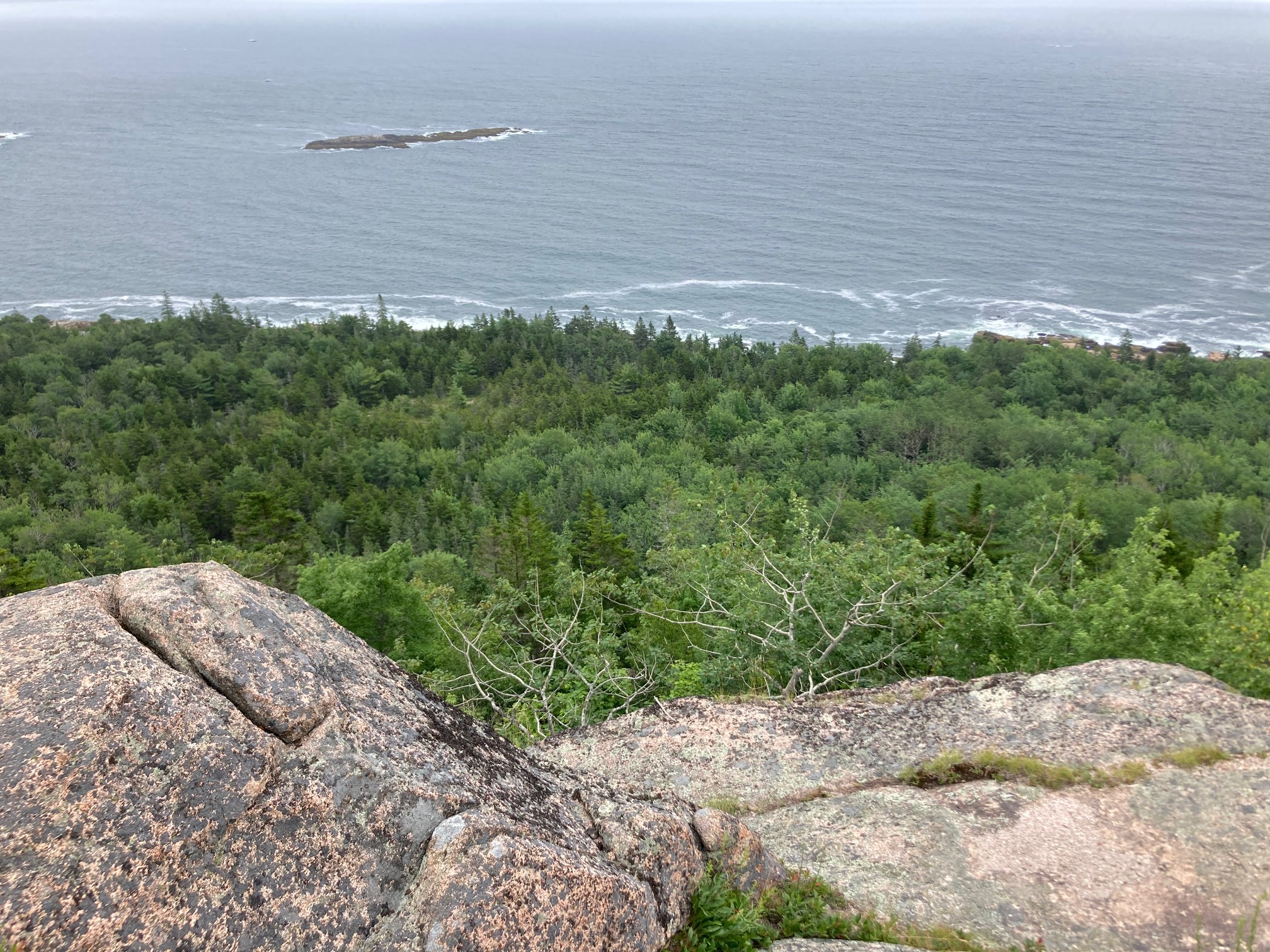 Sea, trees, mountain