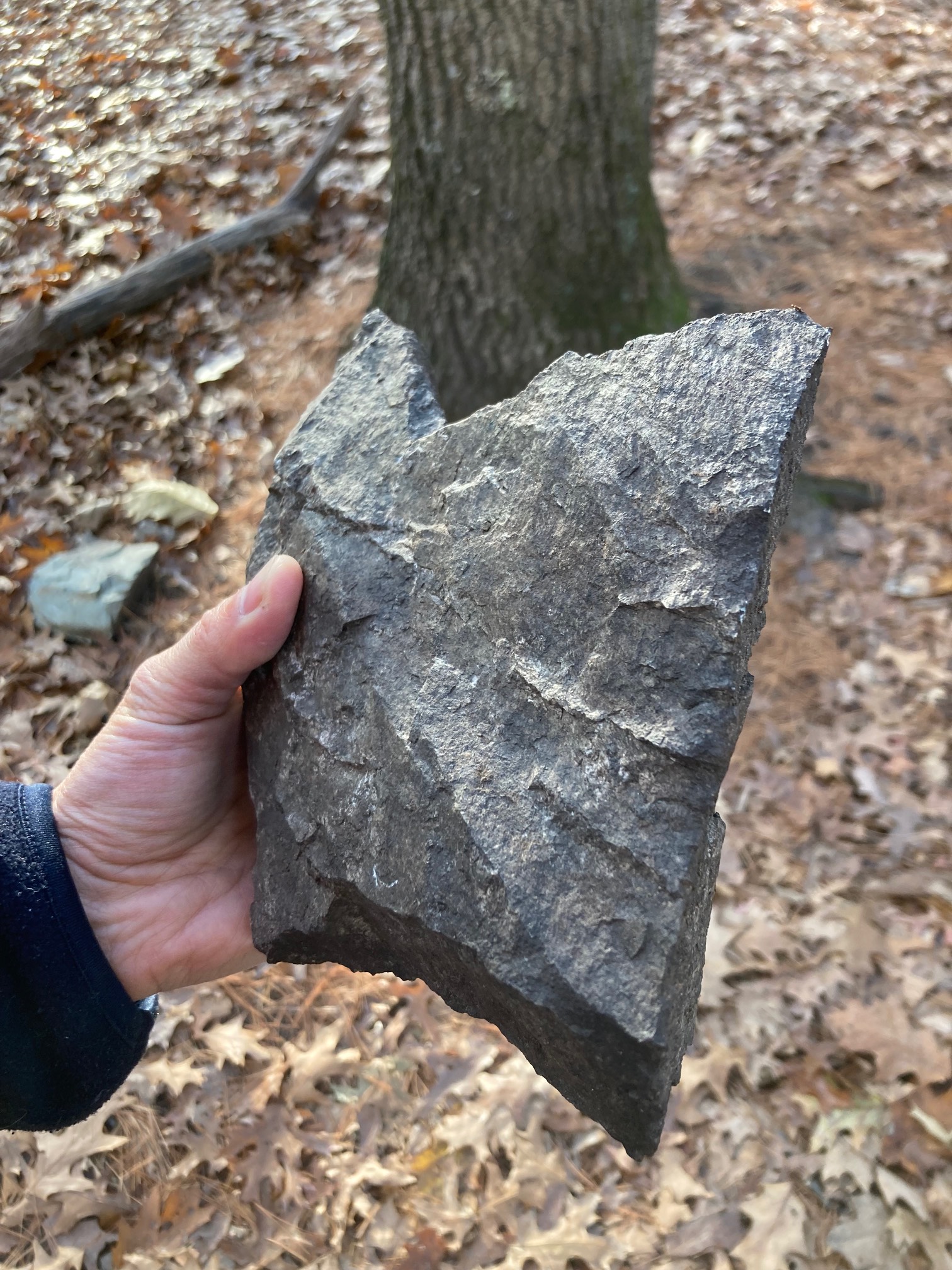 Ye olde stone guillotine