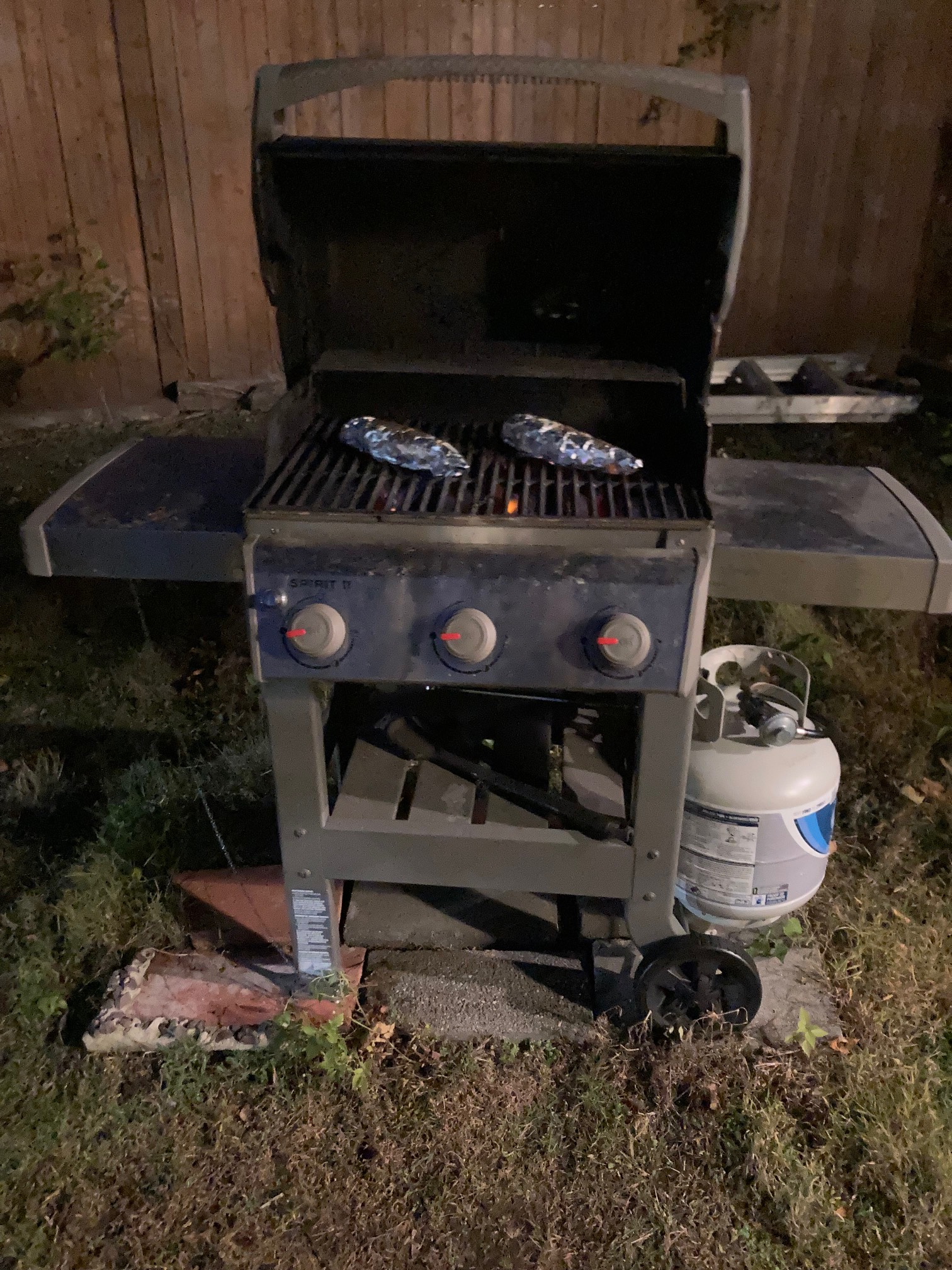 Grill with fish on it