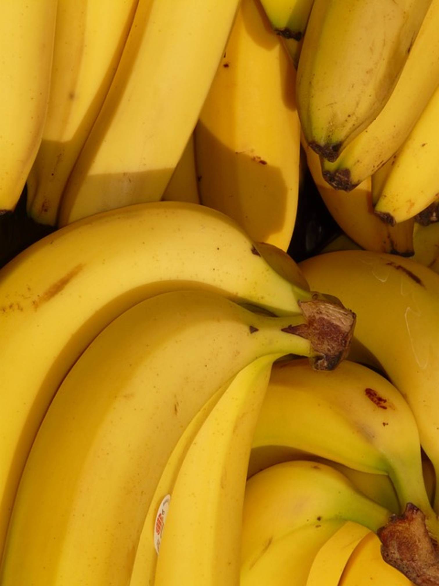 Bananas