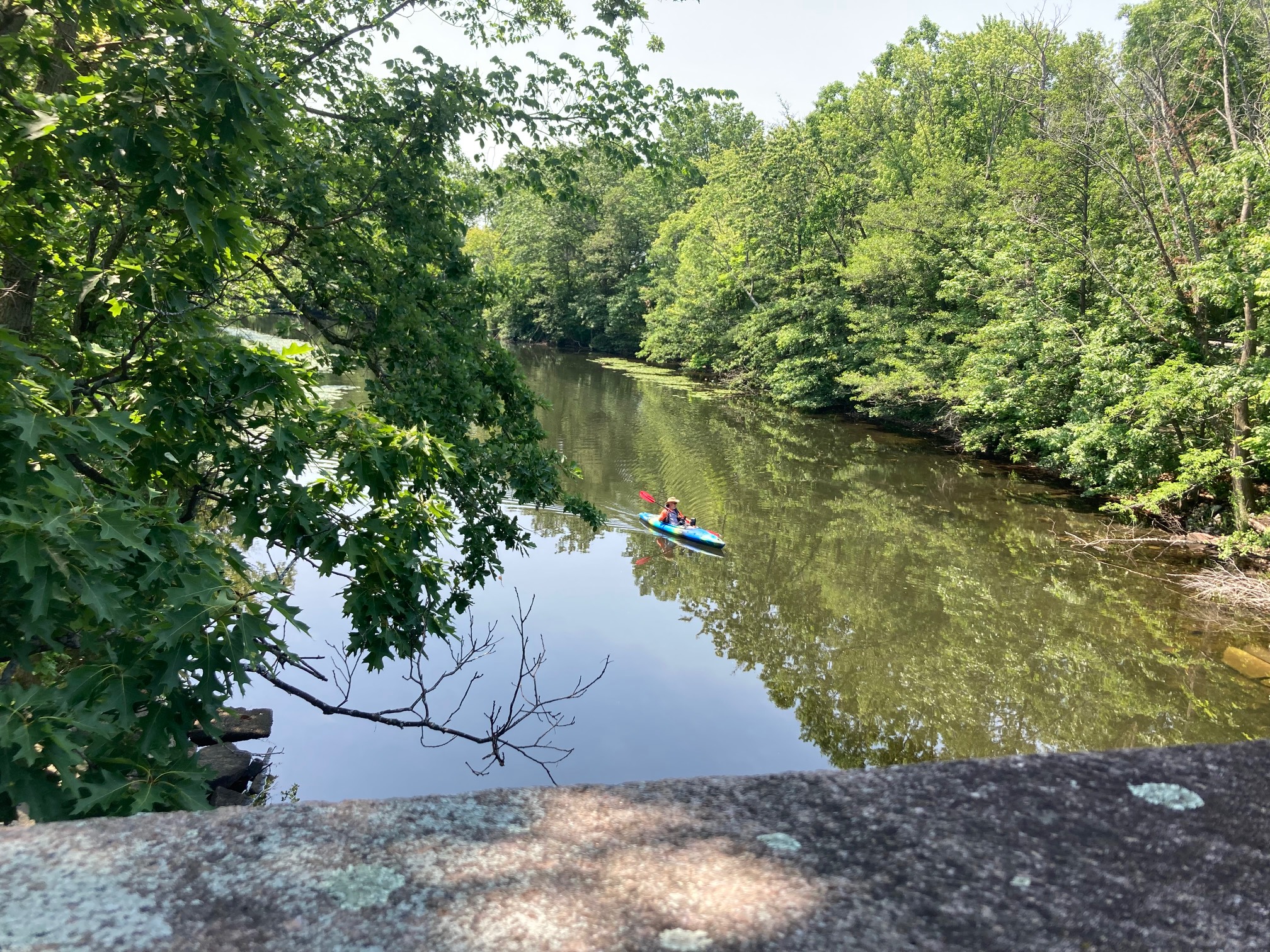 Chill kayak guy