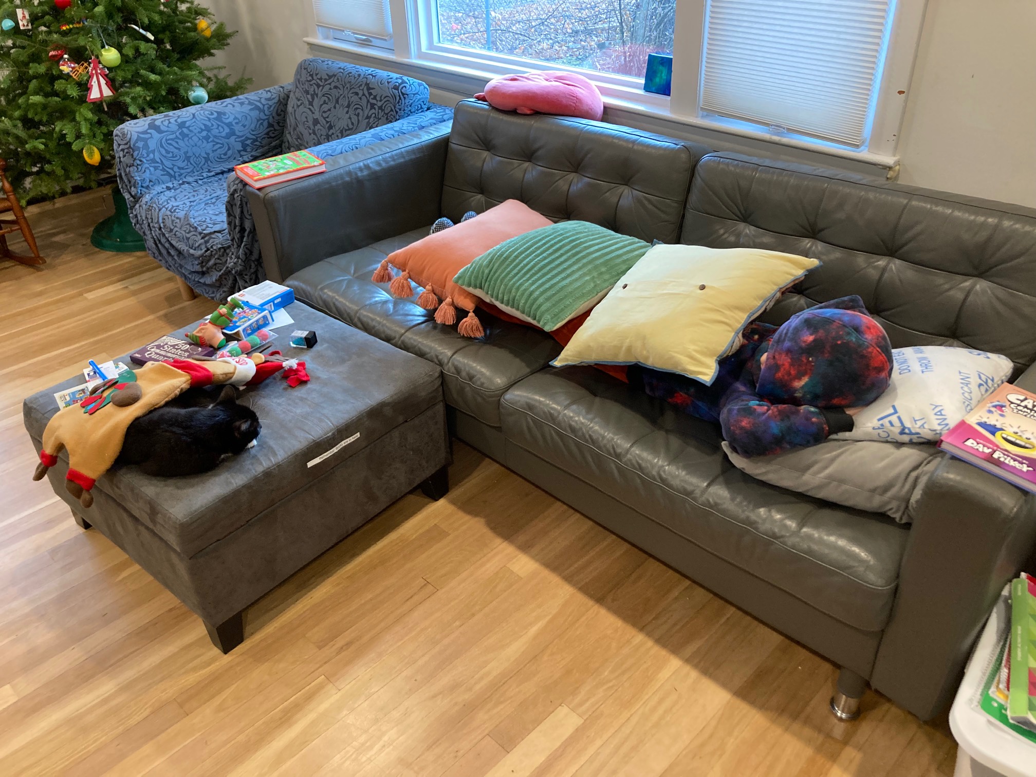 Pillows: The new blanket