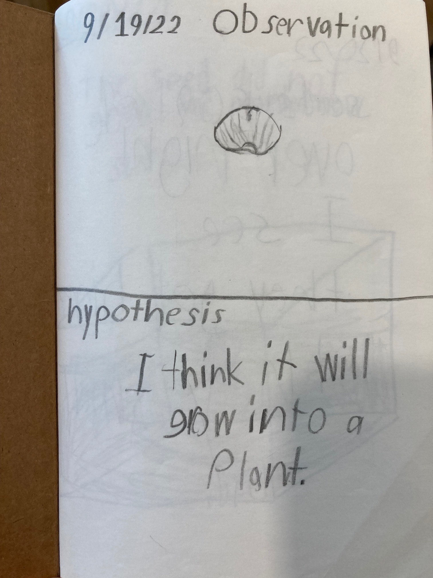 I found a life cycle journal!