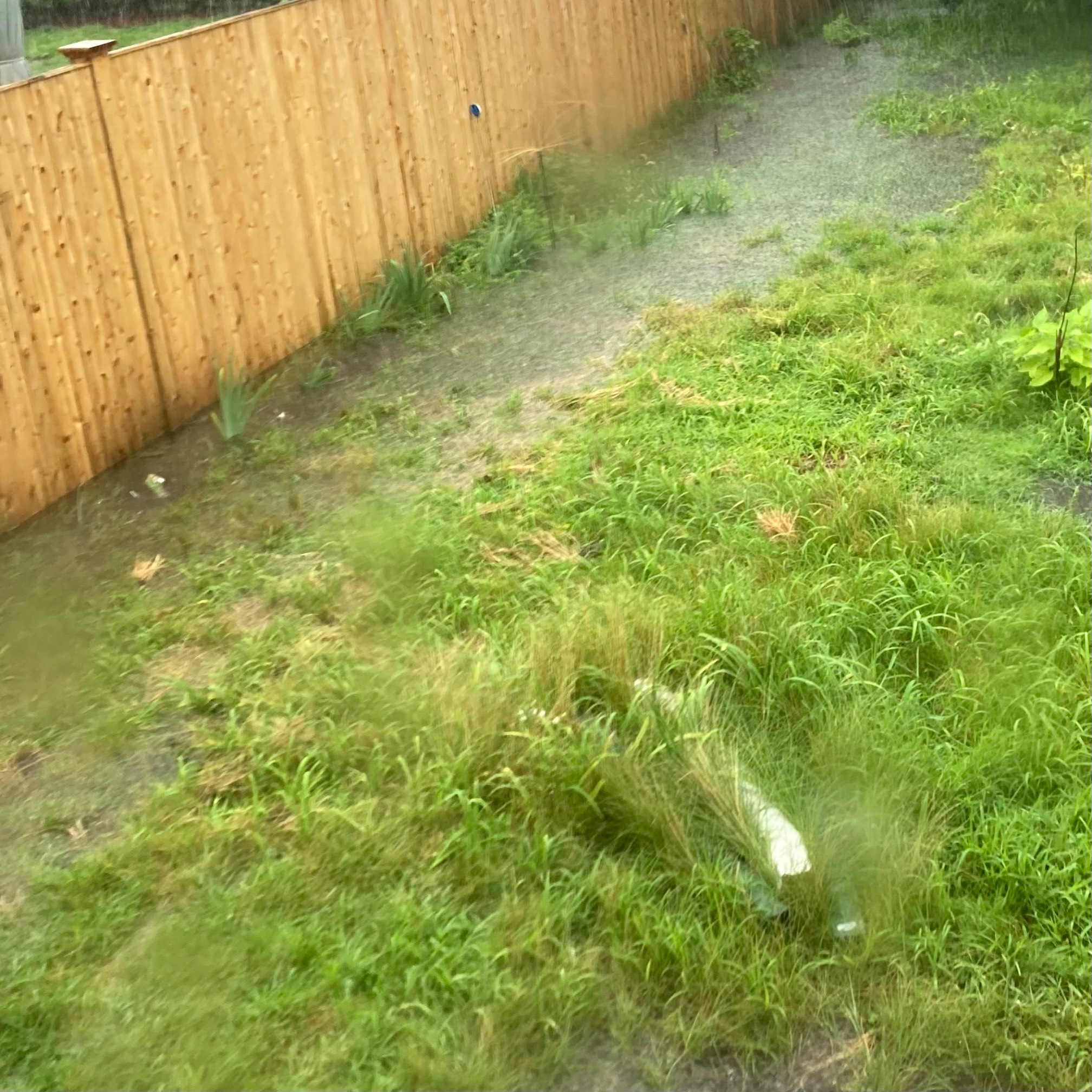 We have a back yard river.