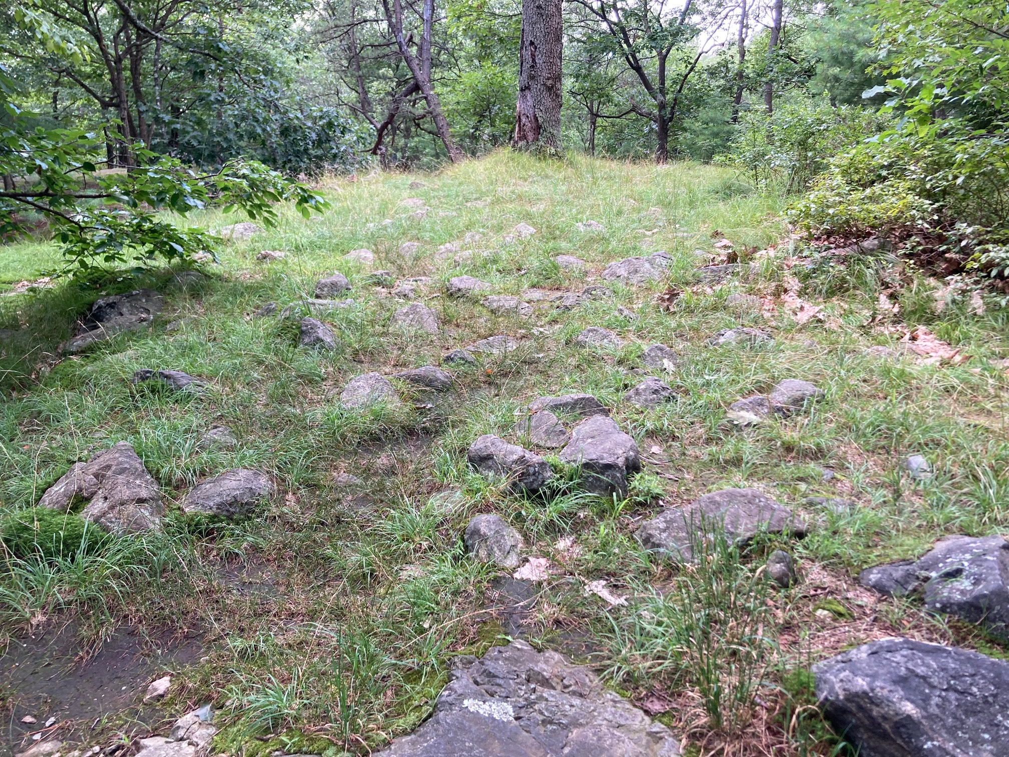Maybe we need more stones in our yard.