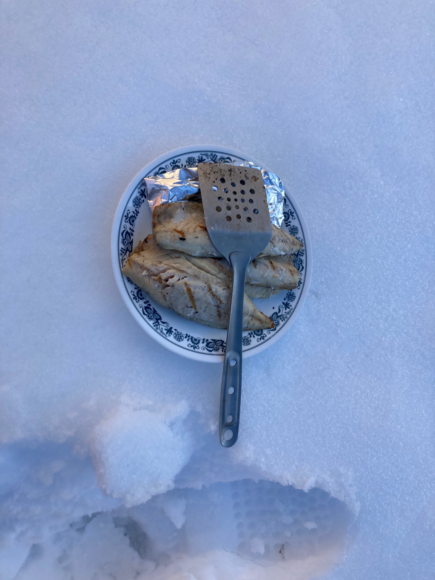 Plate of fish on snow