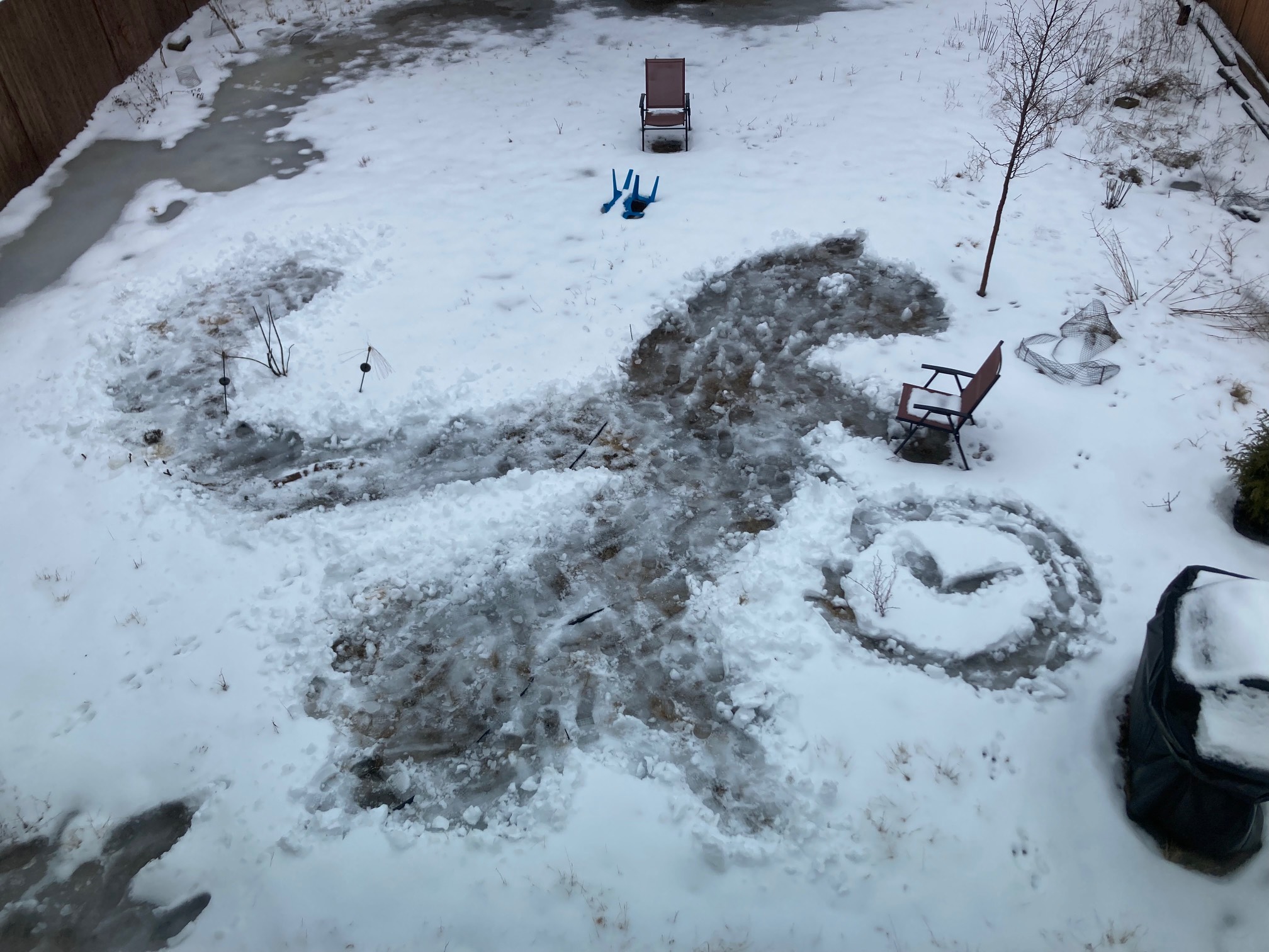 Squirrel-like drawing in the snow