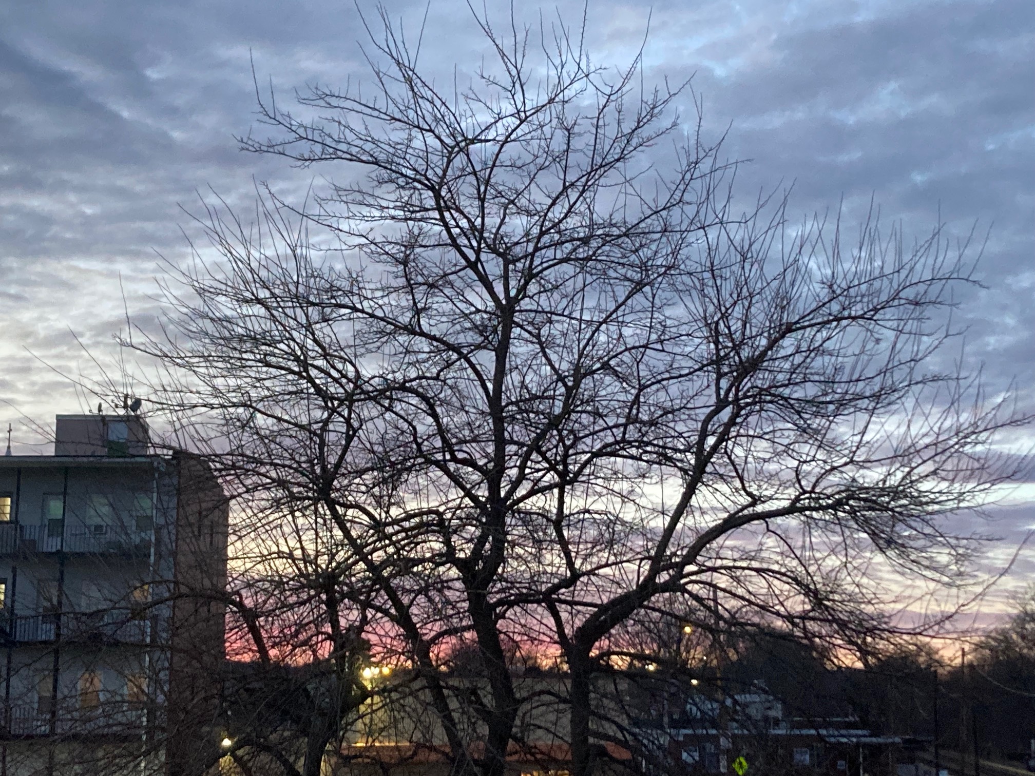 Nice sky over the Dunkin’ Donuts today.