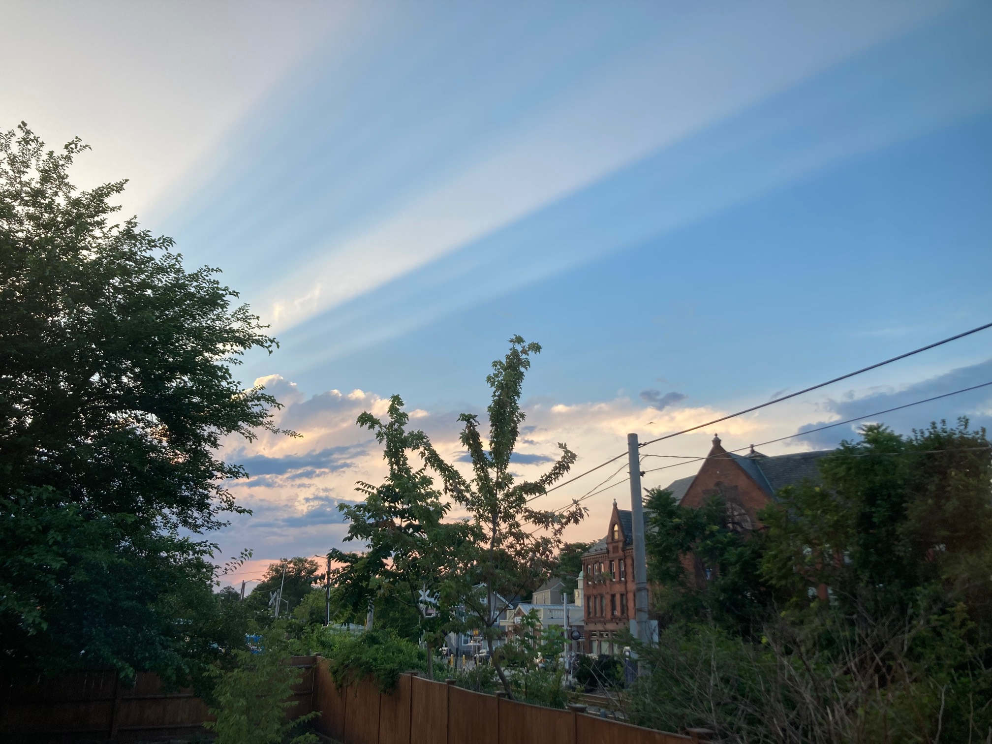 Dusk sky with streaks radiating from the sun behind a tree