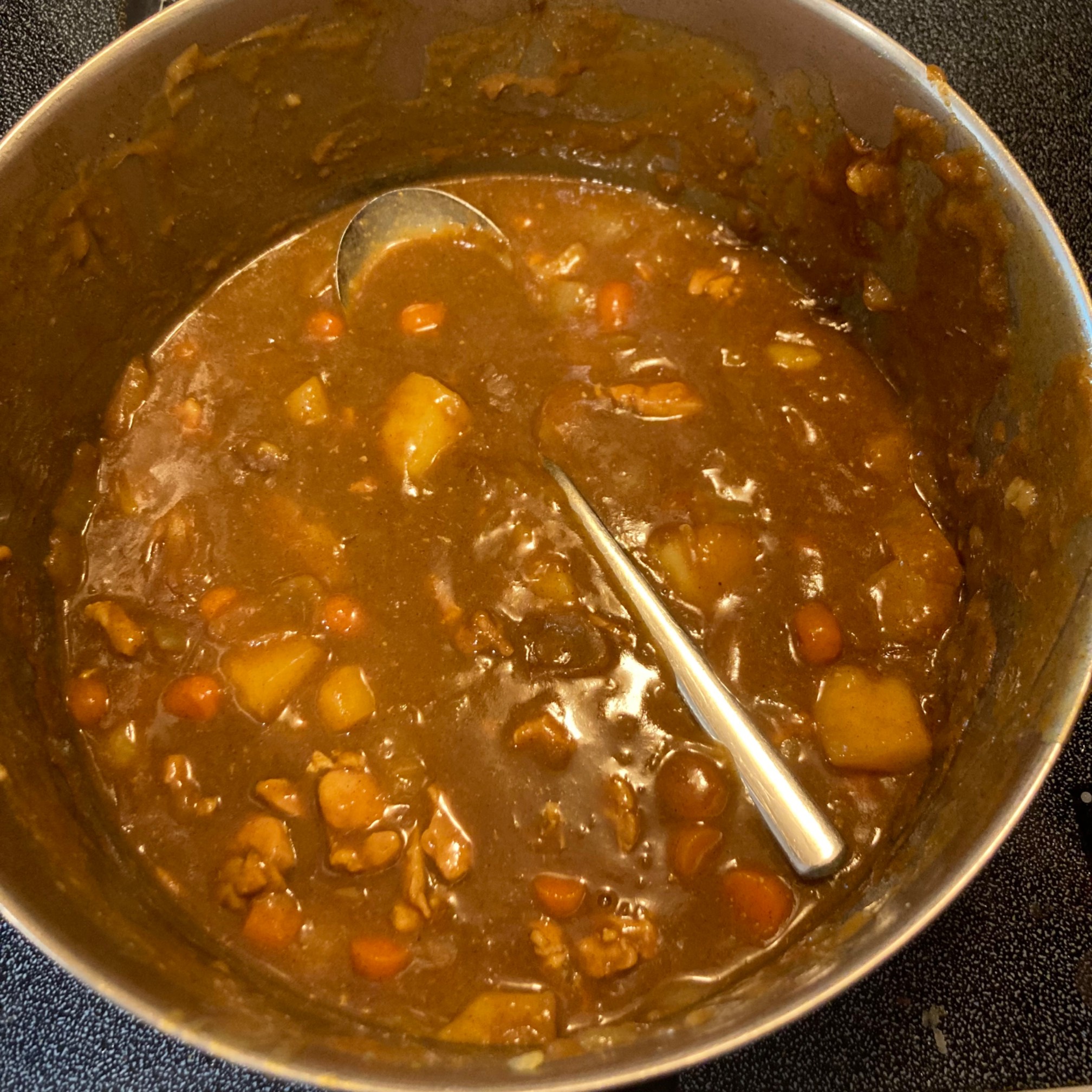 Spoon in curry, including handle