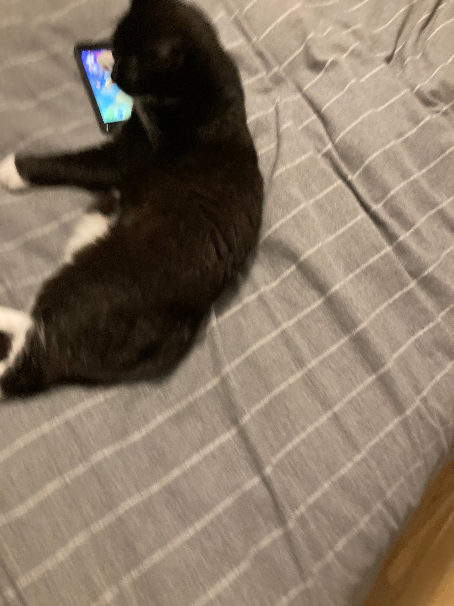 Too much screen time