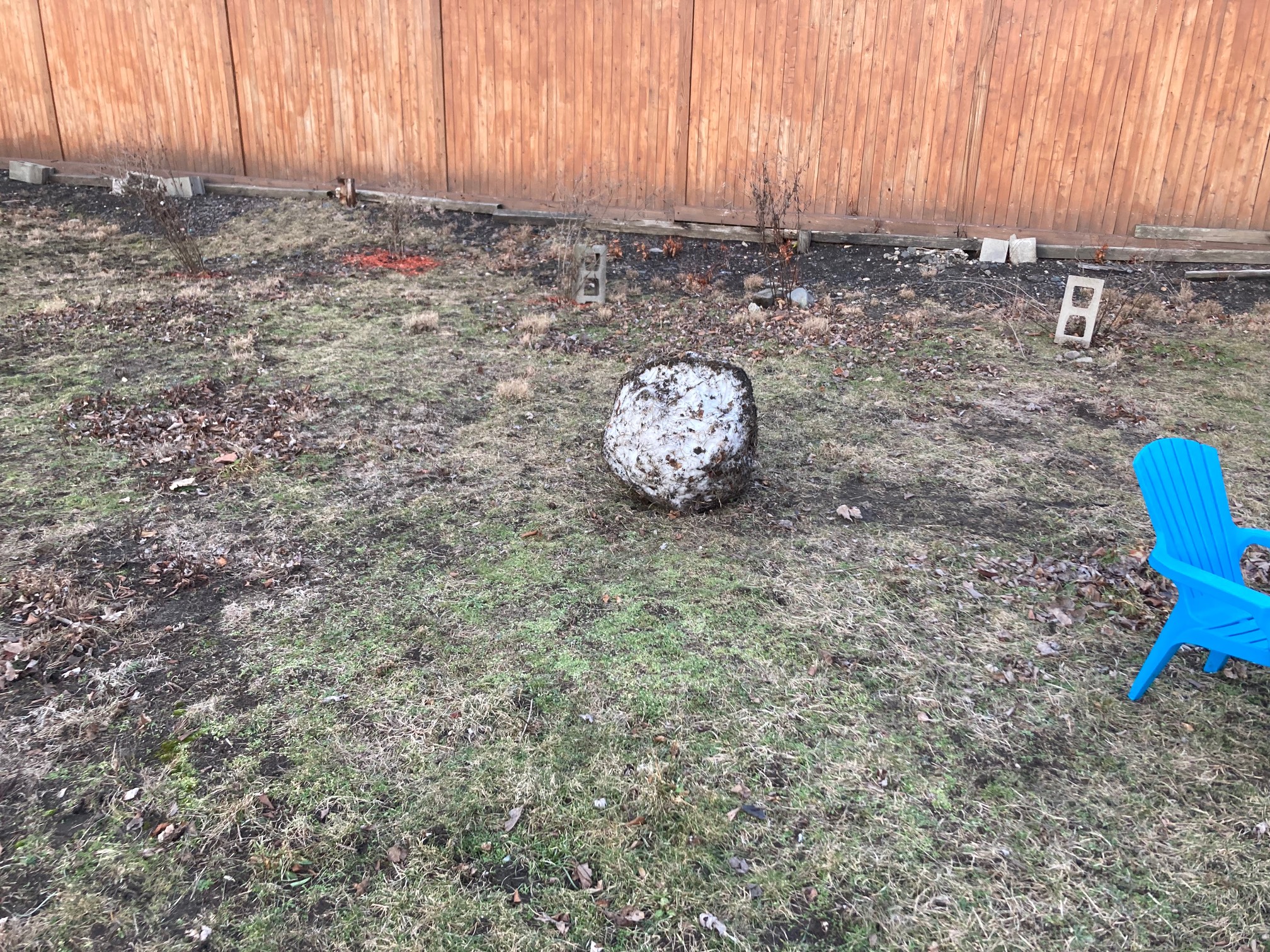 The snowball lives.