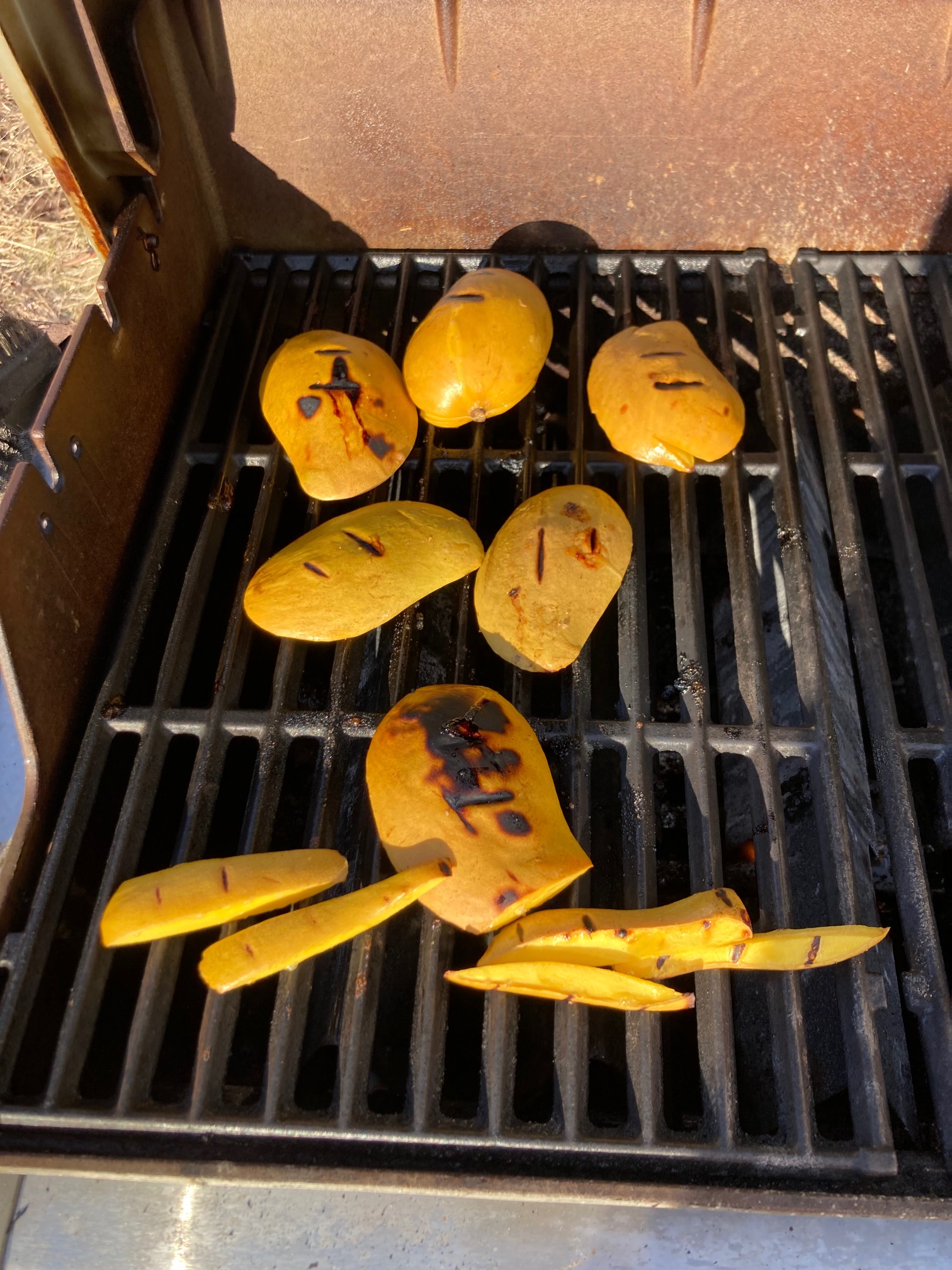 Mangoes on grill