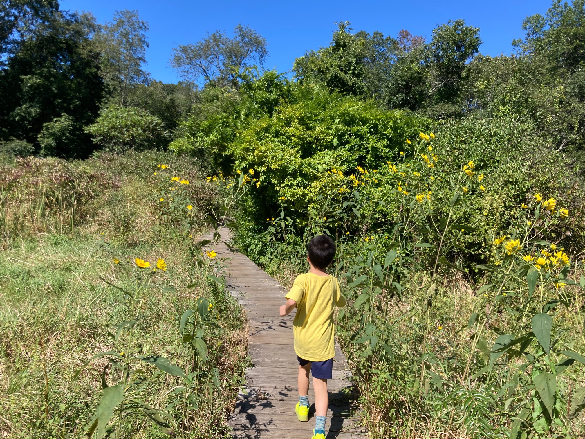 Boardwalkin’