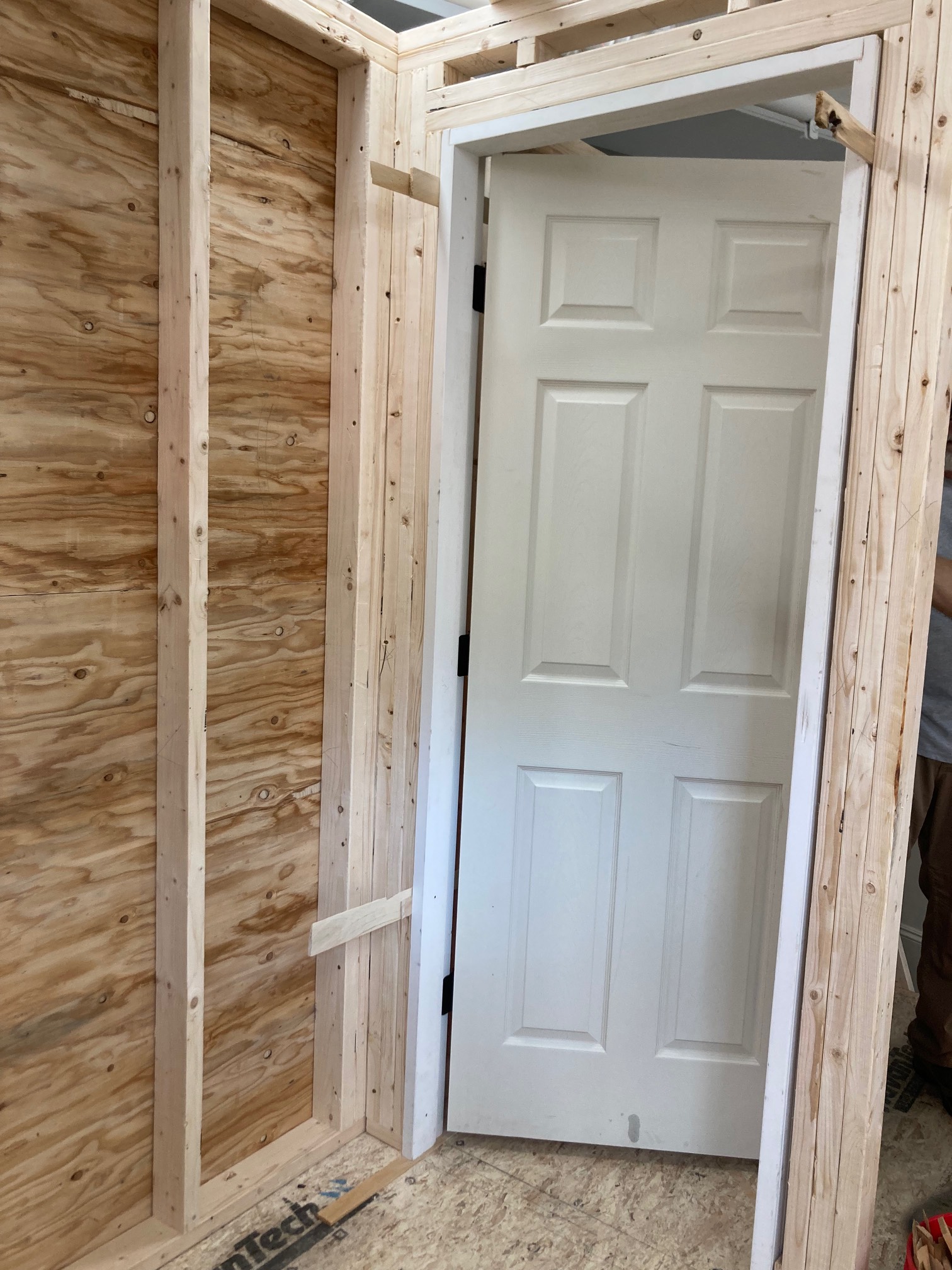 Door in frame