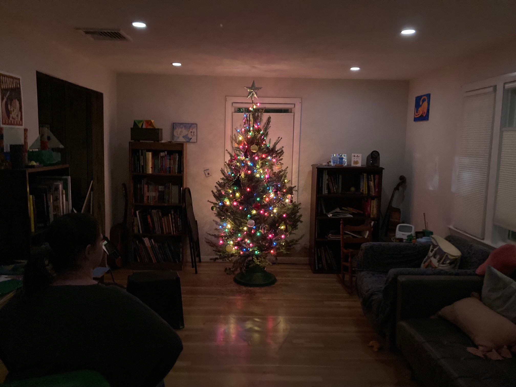 Lot Christmas tree in living room