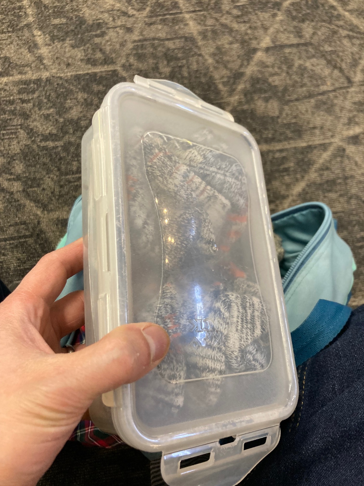 Container of socks 