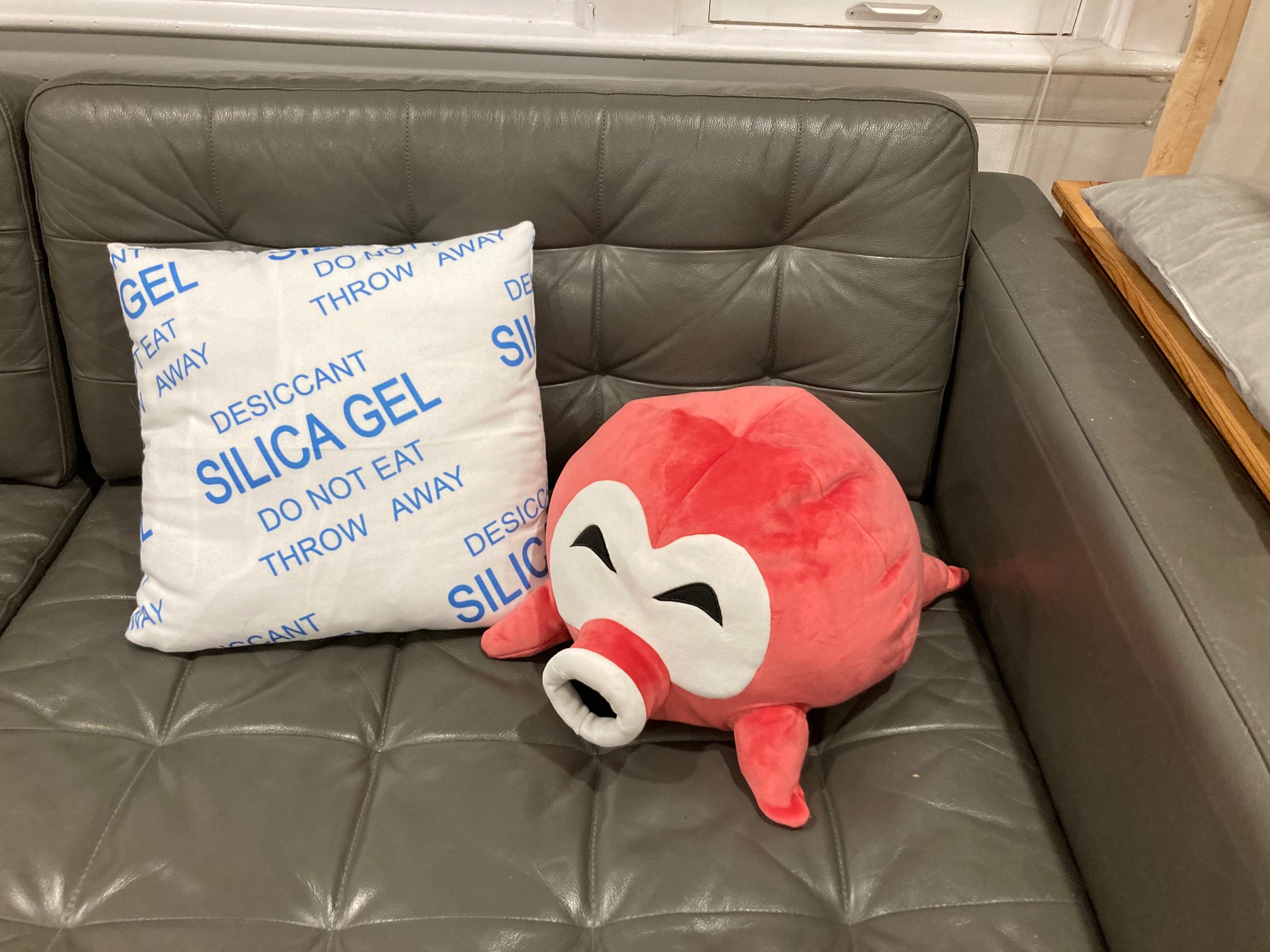 The novelty pillow collection grows.
