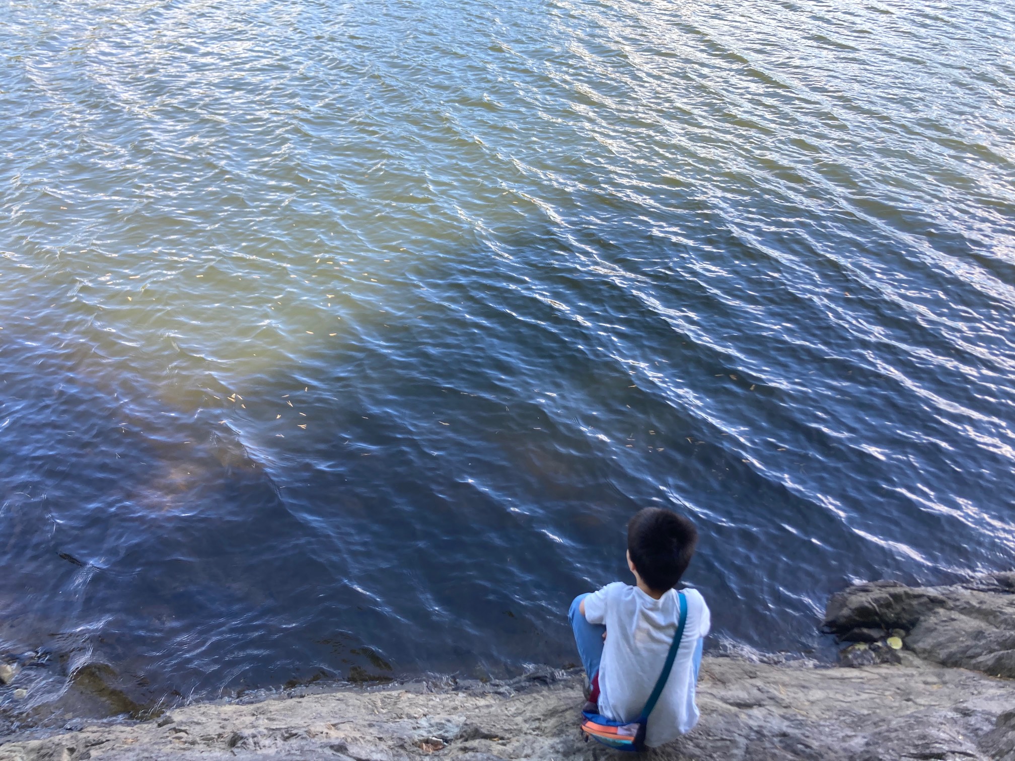 Kid on rocky shore by water