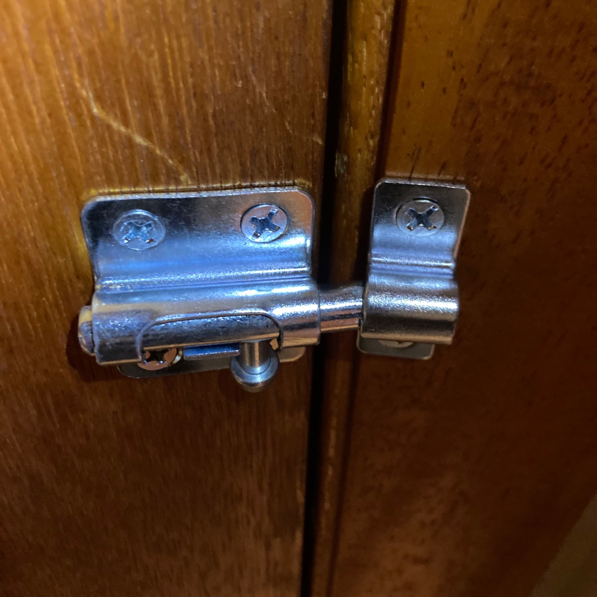 Bolt connecting braces on door and door jamb at different angles