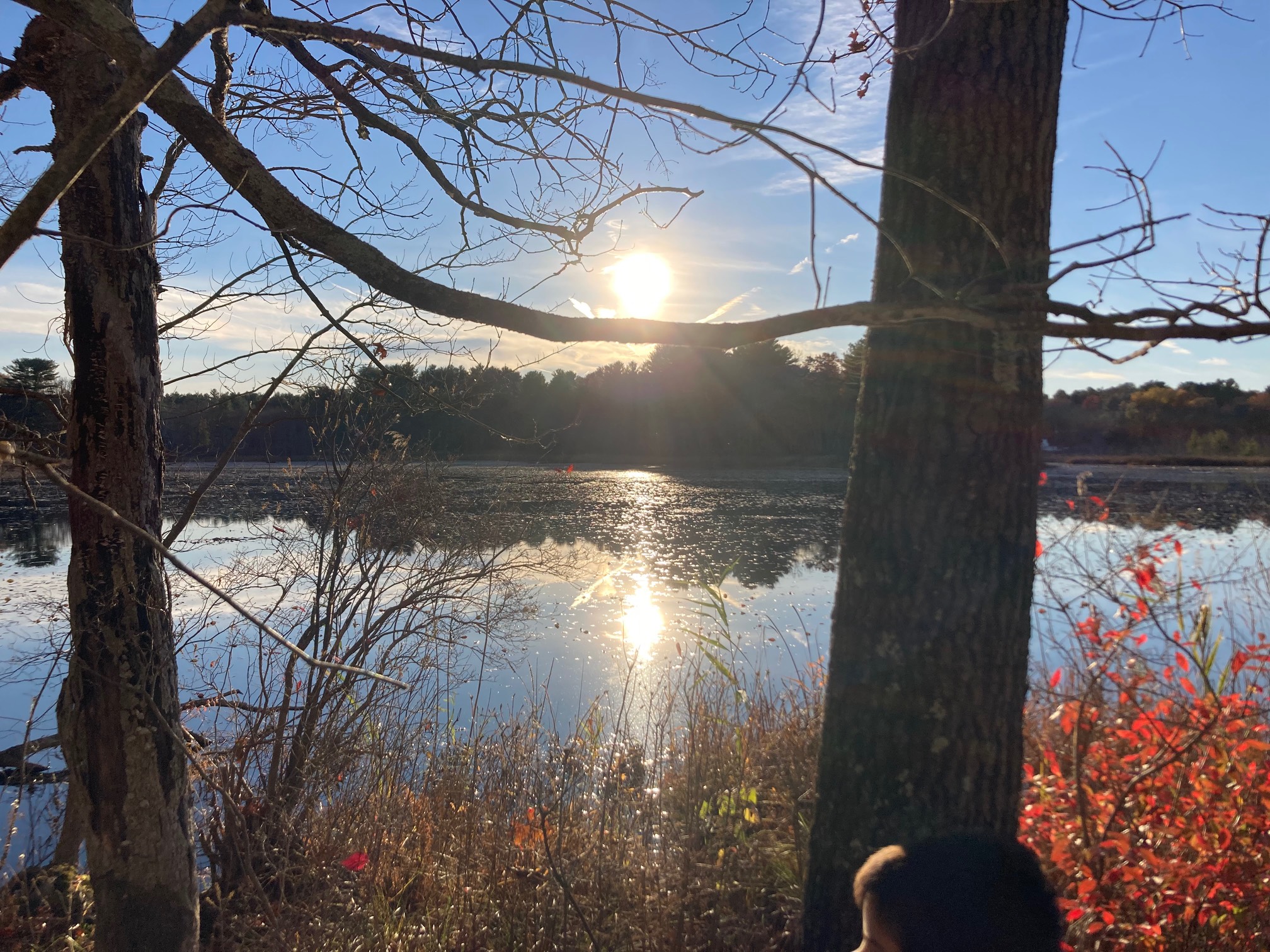 Sun with reflection of sun in bog water