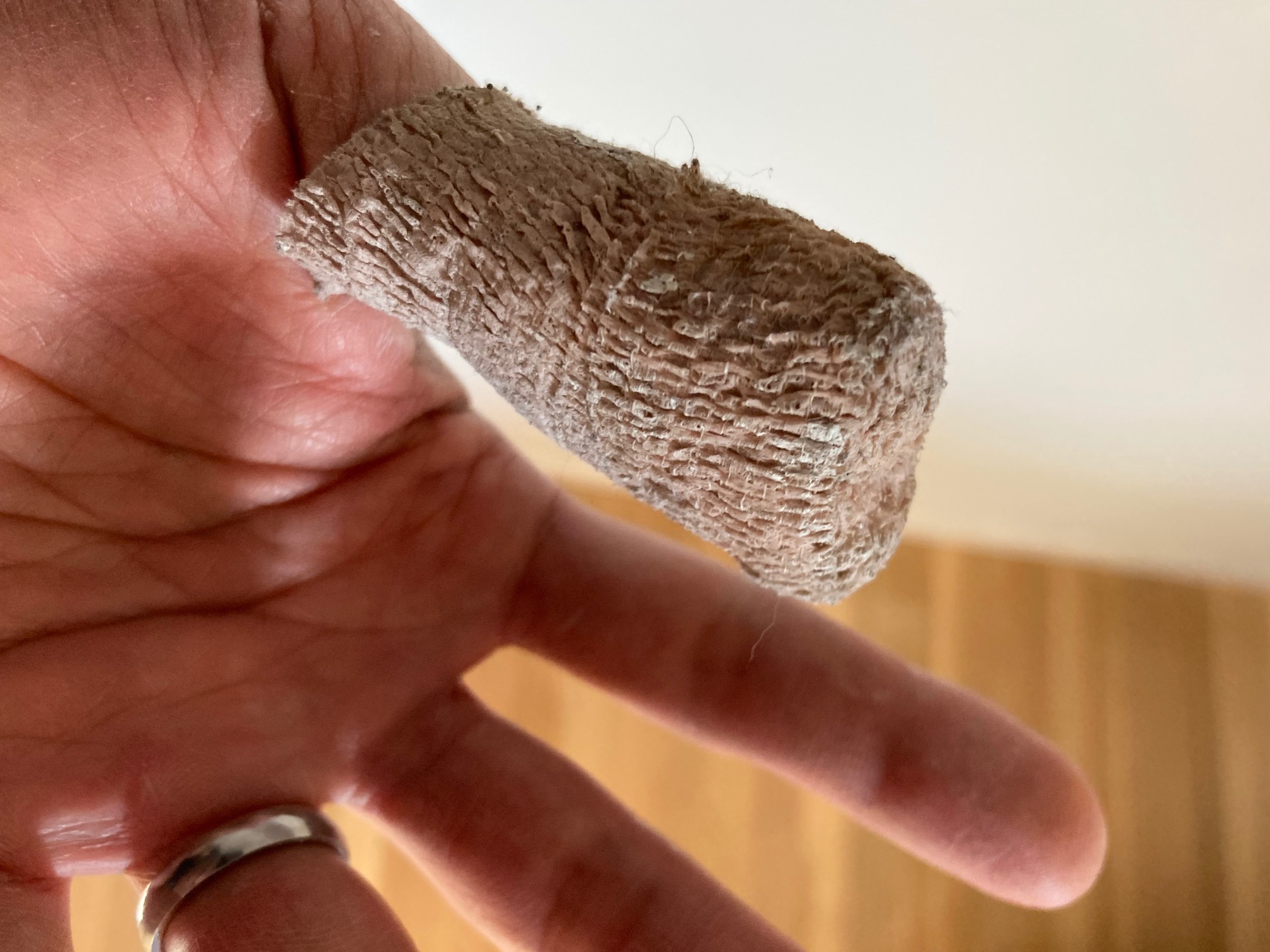 Painting and washing paint equipment has proved to be the end of the line for this thumb cocoon.