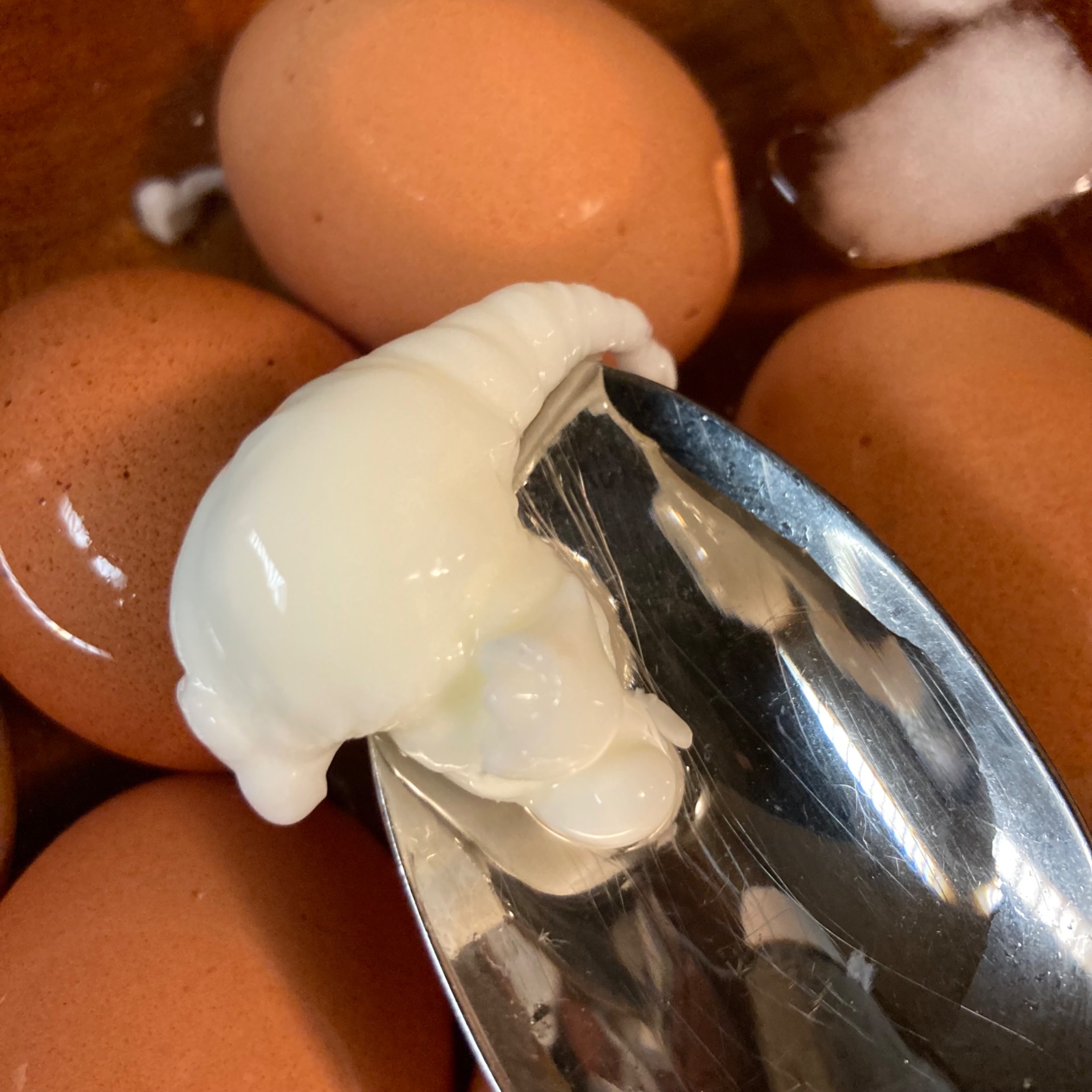 Maybe I should get into Egg Art.