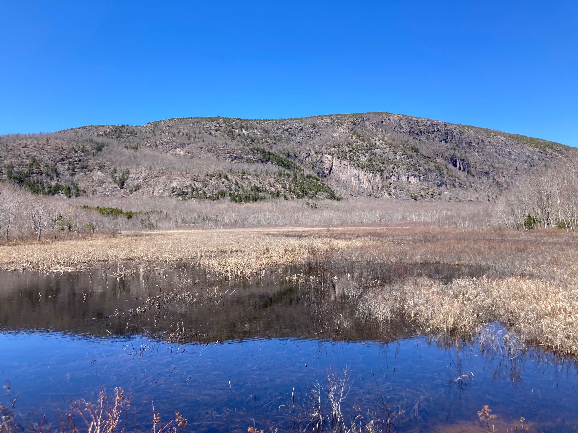 Swamp in front of mountain