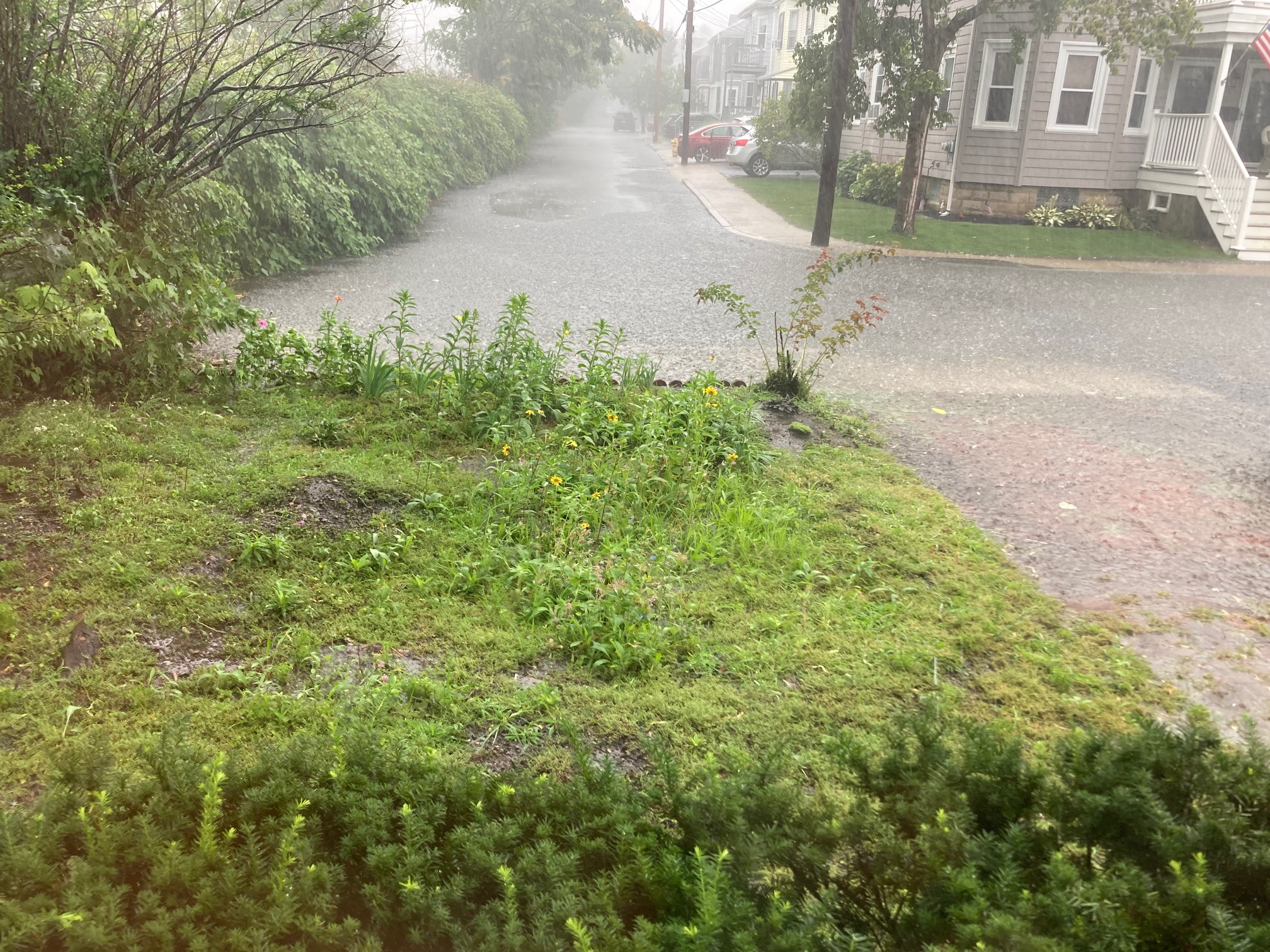Also a street river.