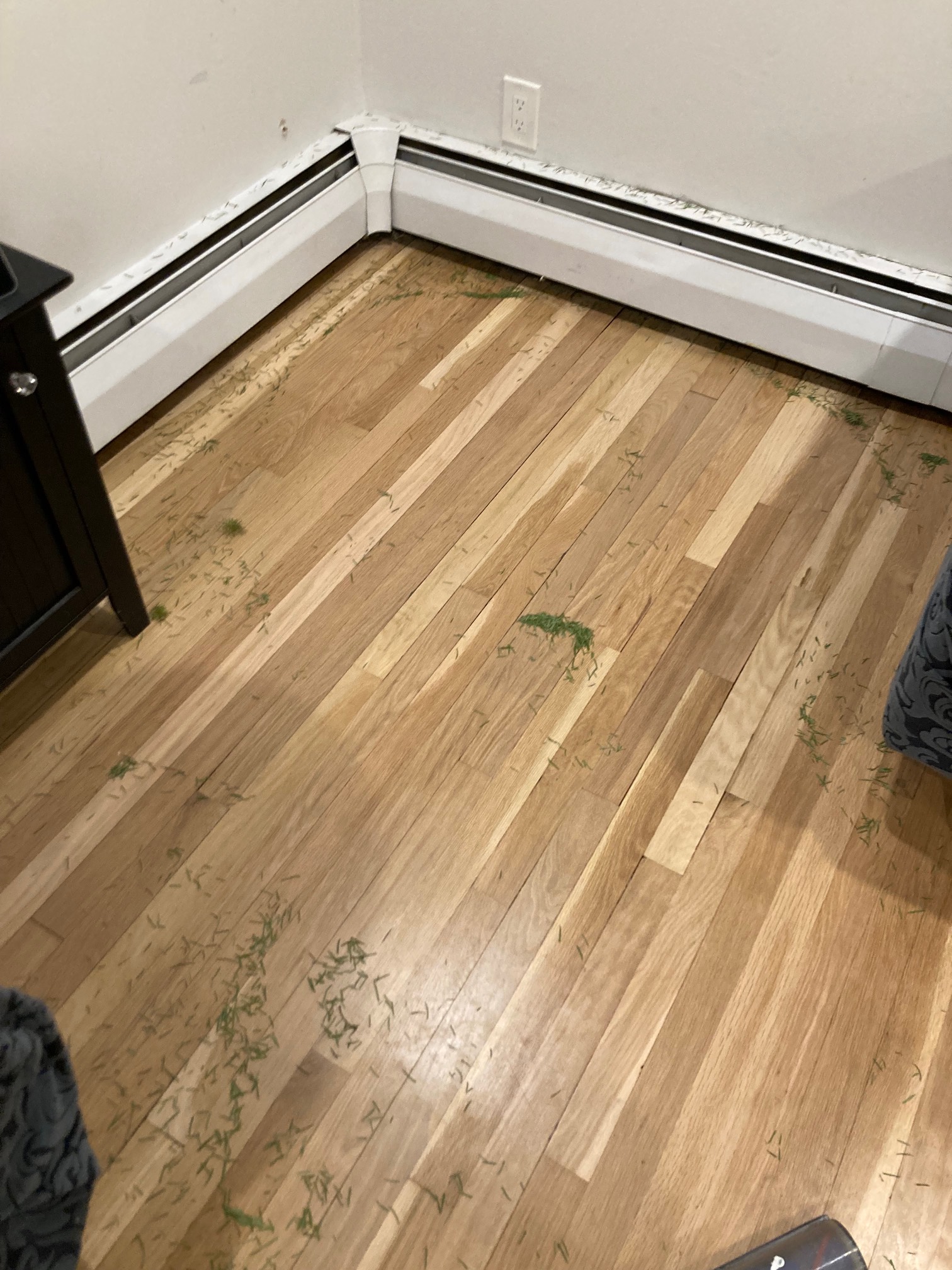 It feels like you’ve been blessed with a ton of extra space after getting rid of the Xmas tree. That