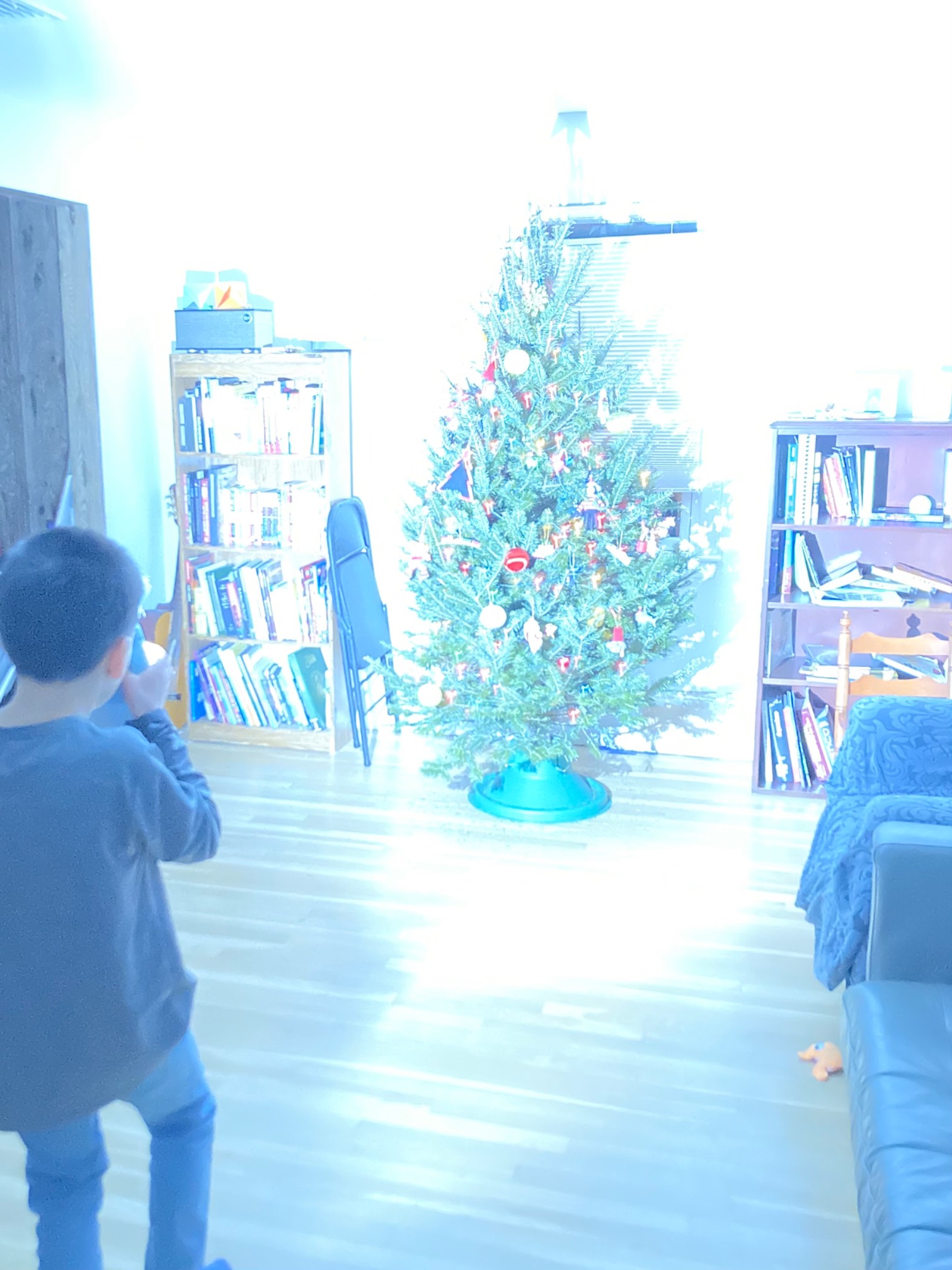 Tre in living room flooded with light